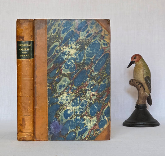 1831 Birds - The Gardens and Menageries of The Zoological Society - Illustrated Antique Book