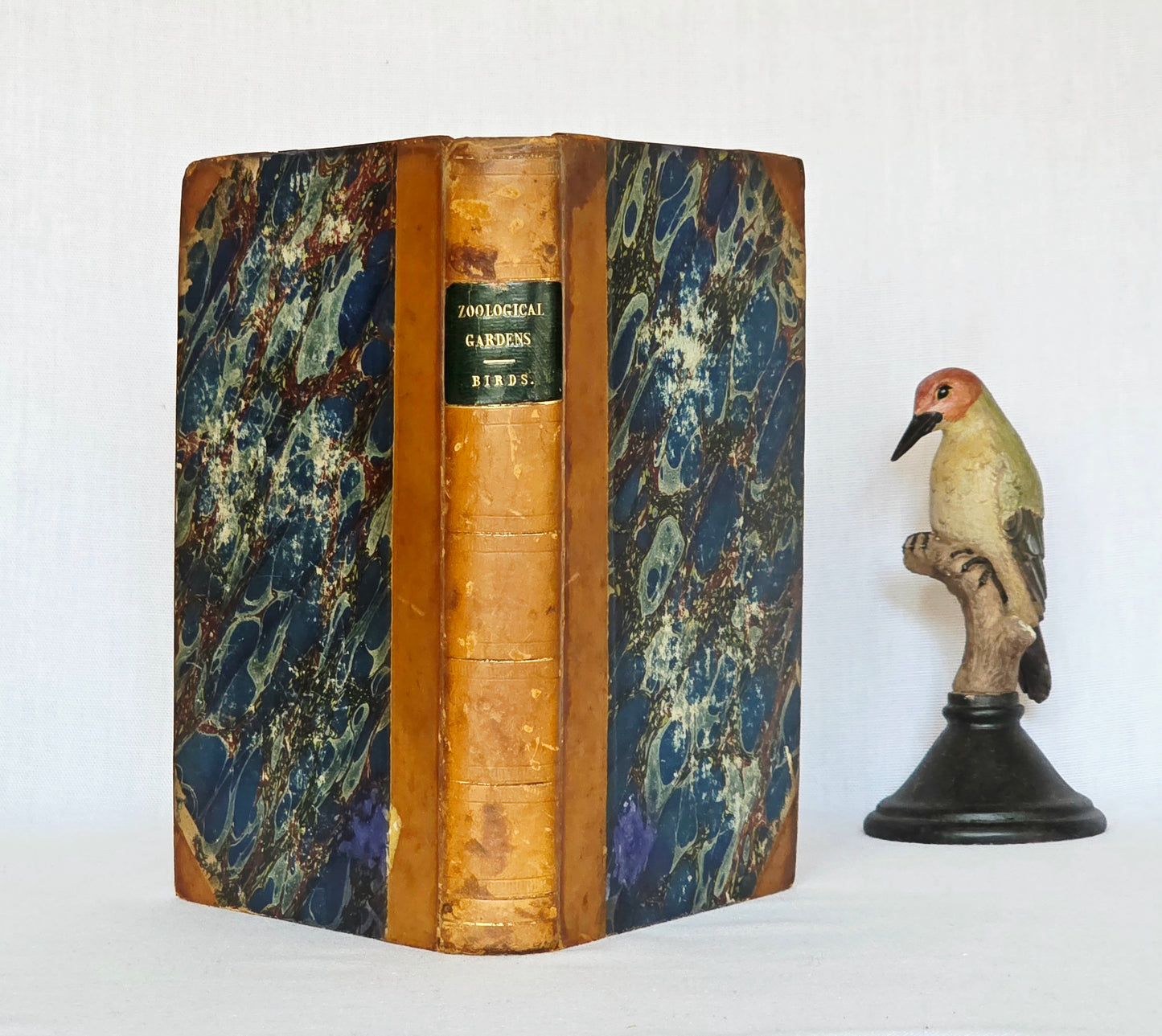 1831 Birds - The Gardens and Menageries of The Zoological Society - Illustrated Antique Book