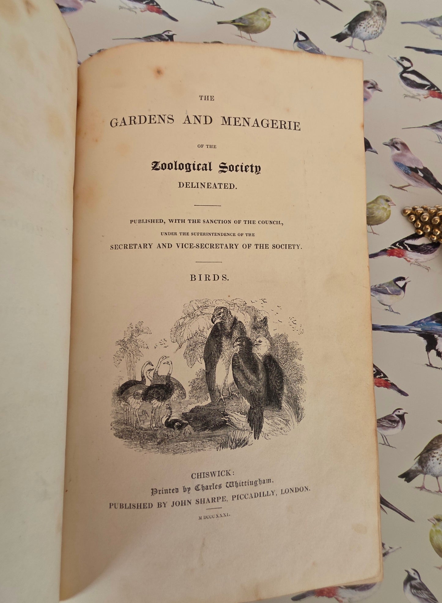 1831 Birds - The Gardens and Menageries of The Zoological Society - Illustrated Antique Book