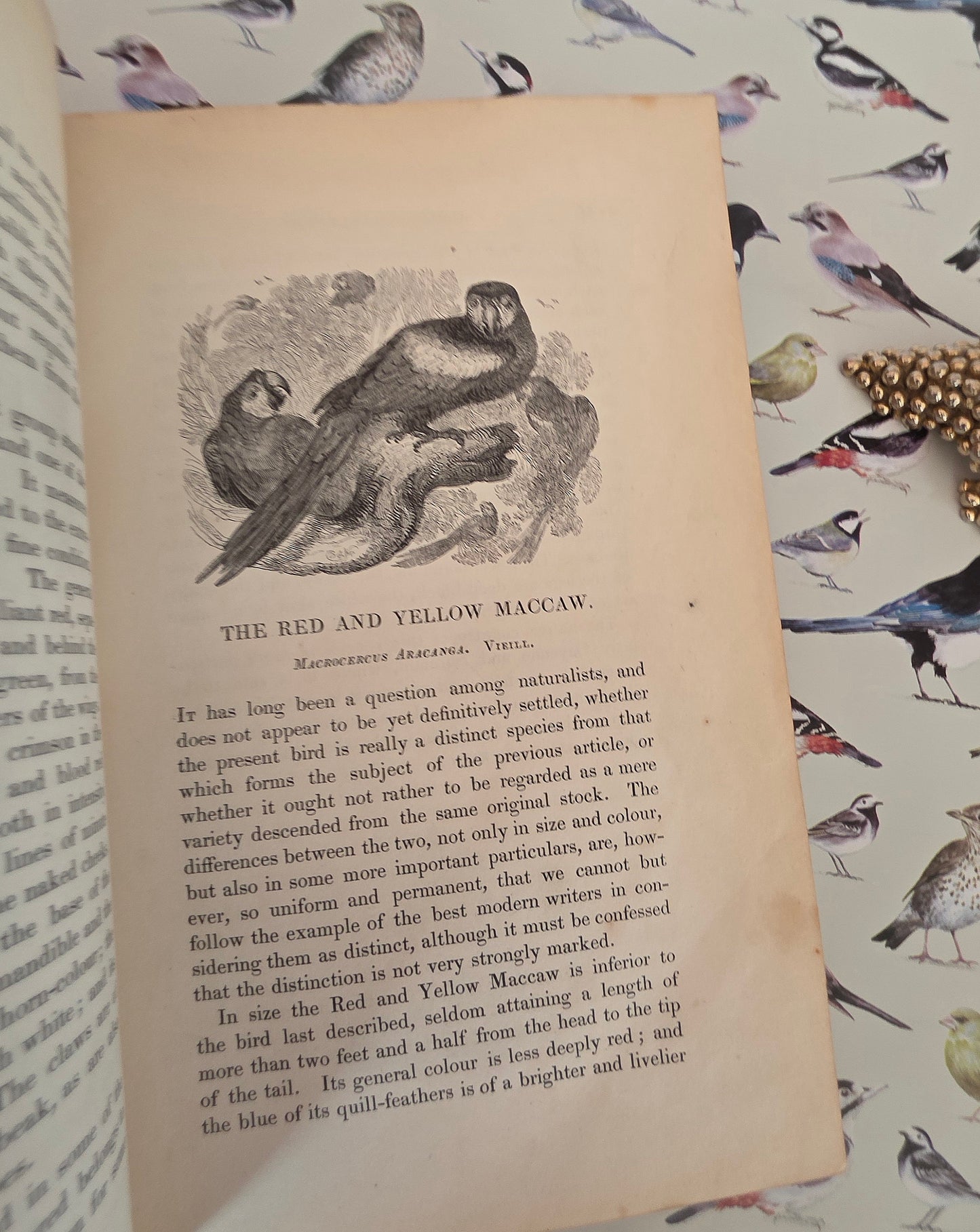 1831 Birds - The Gardens and Menageries of The Zoological Society - Illustrated Antique Book