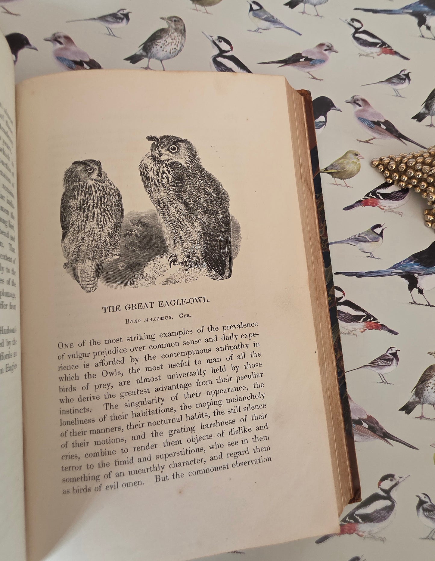 1831 Birds - The Gardens and Menageries of The Zoological Society - Illustrated Antique Book