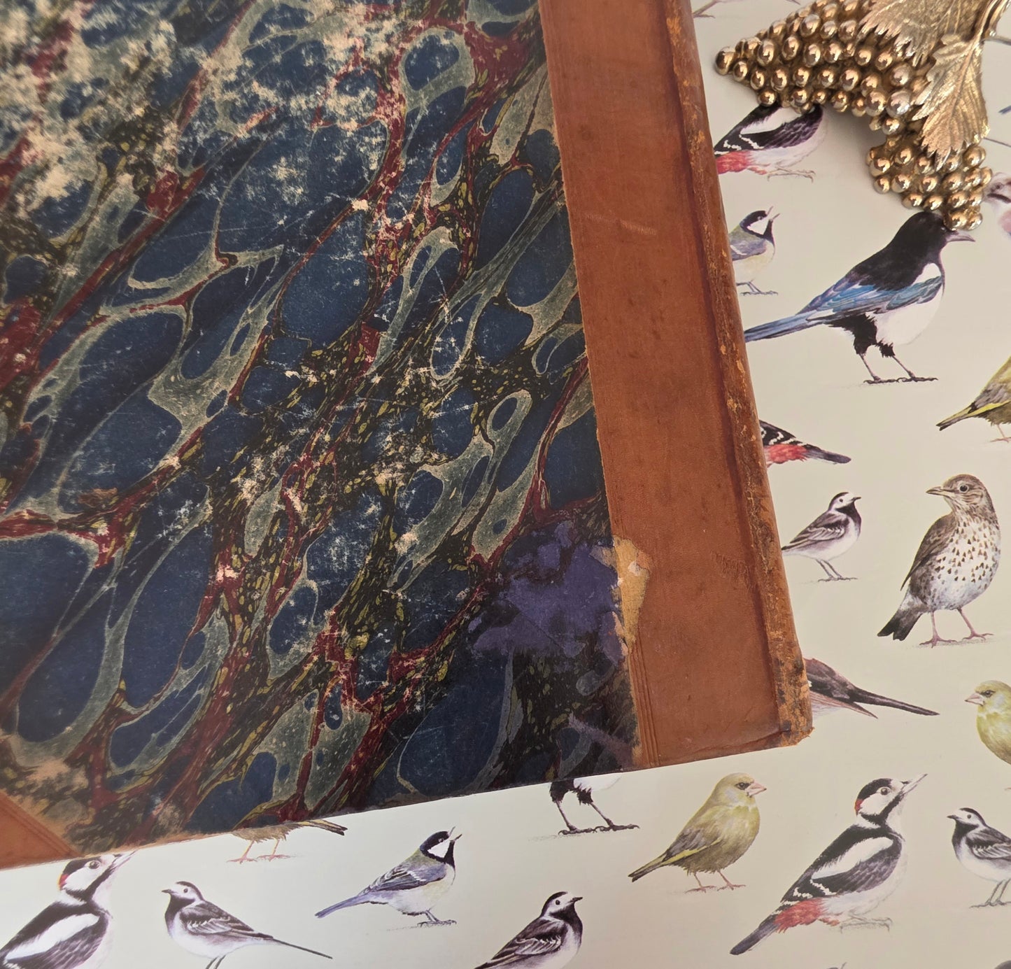 1831 Birds - The Gardens and Menageries of The Zoological Society - Illustrated Antique Book