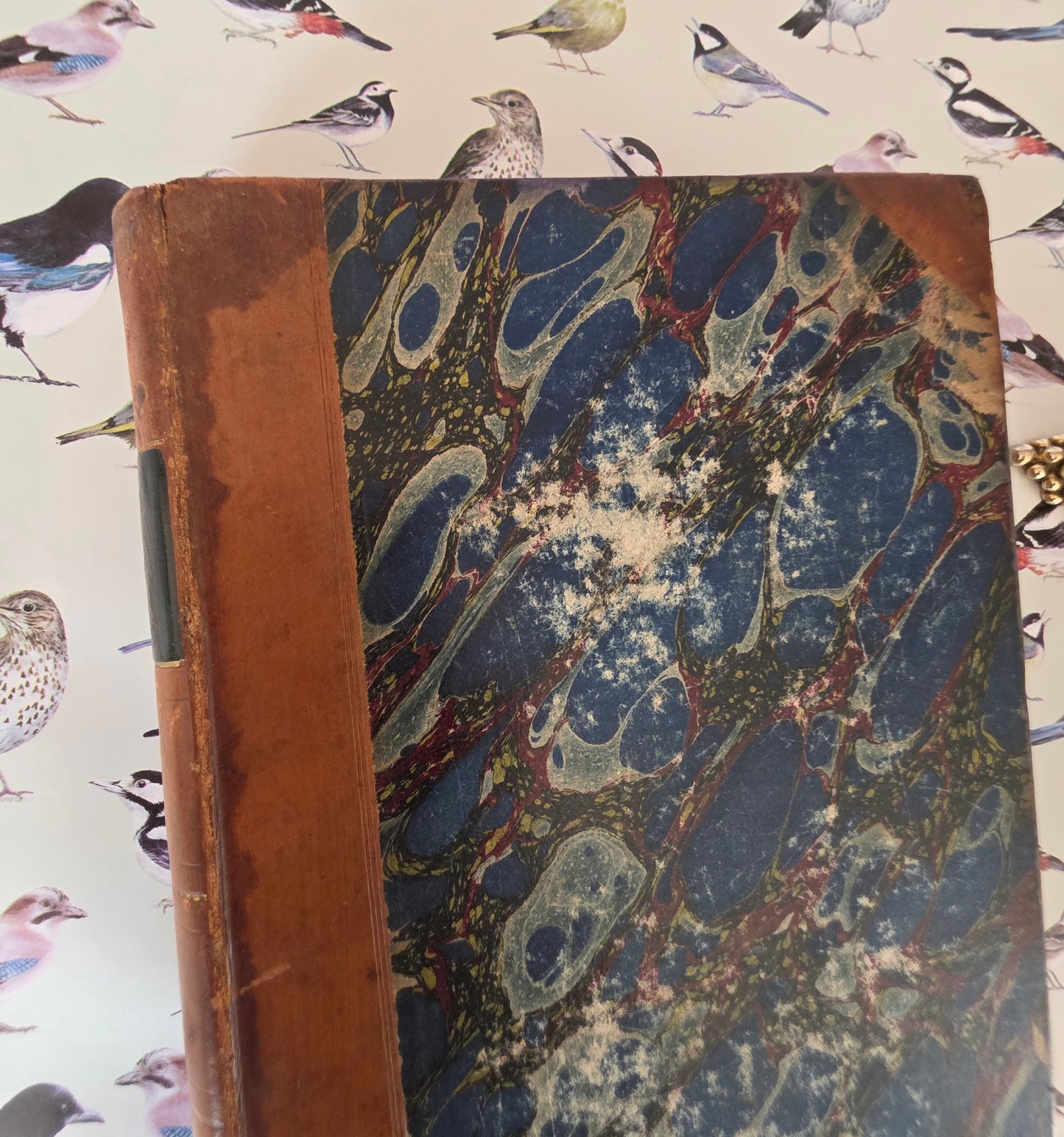 1831 Birds - The Gardens and Menageries of The Zoological Society - Illustrated Antique Book