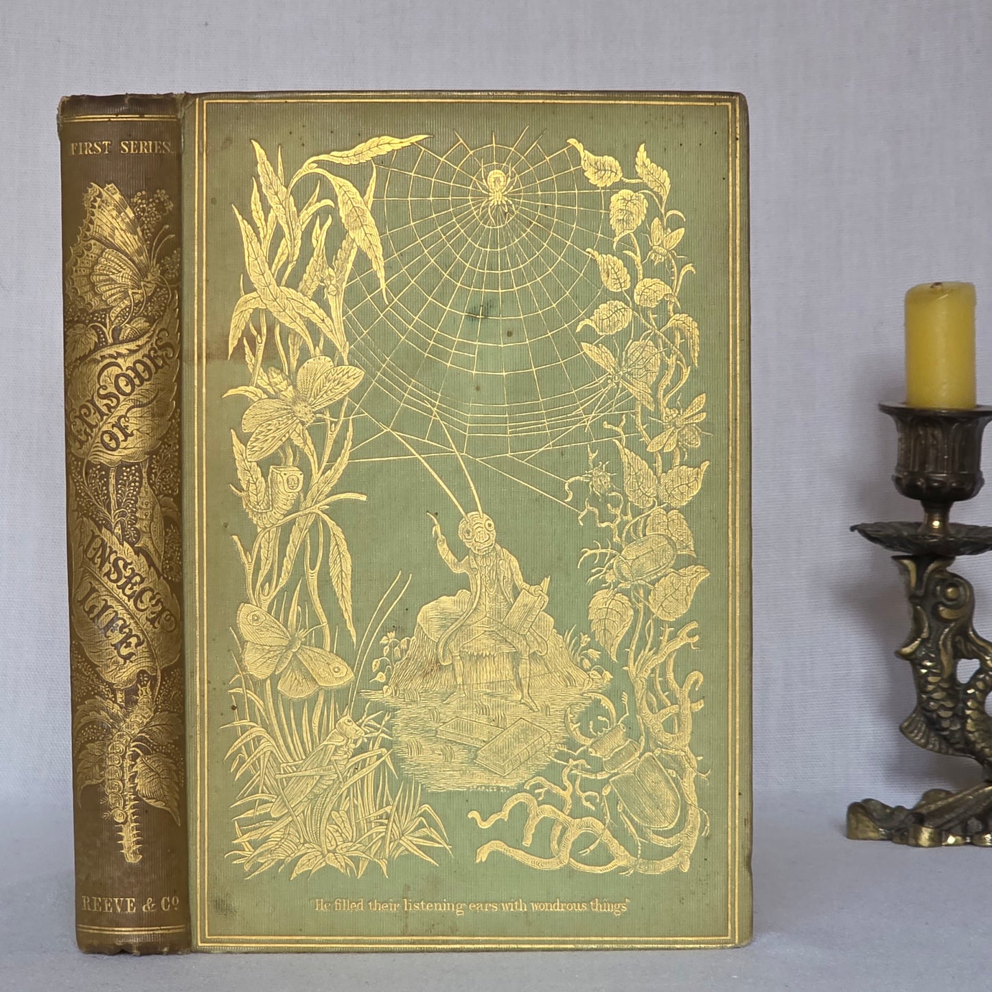 1849 Episodes of Insect Life by Acheta Domestica - Illustrated Antique Book