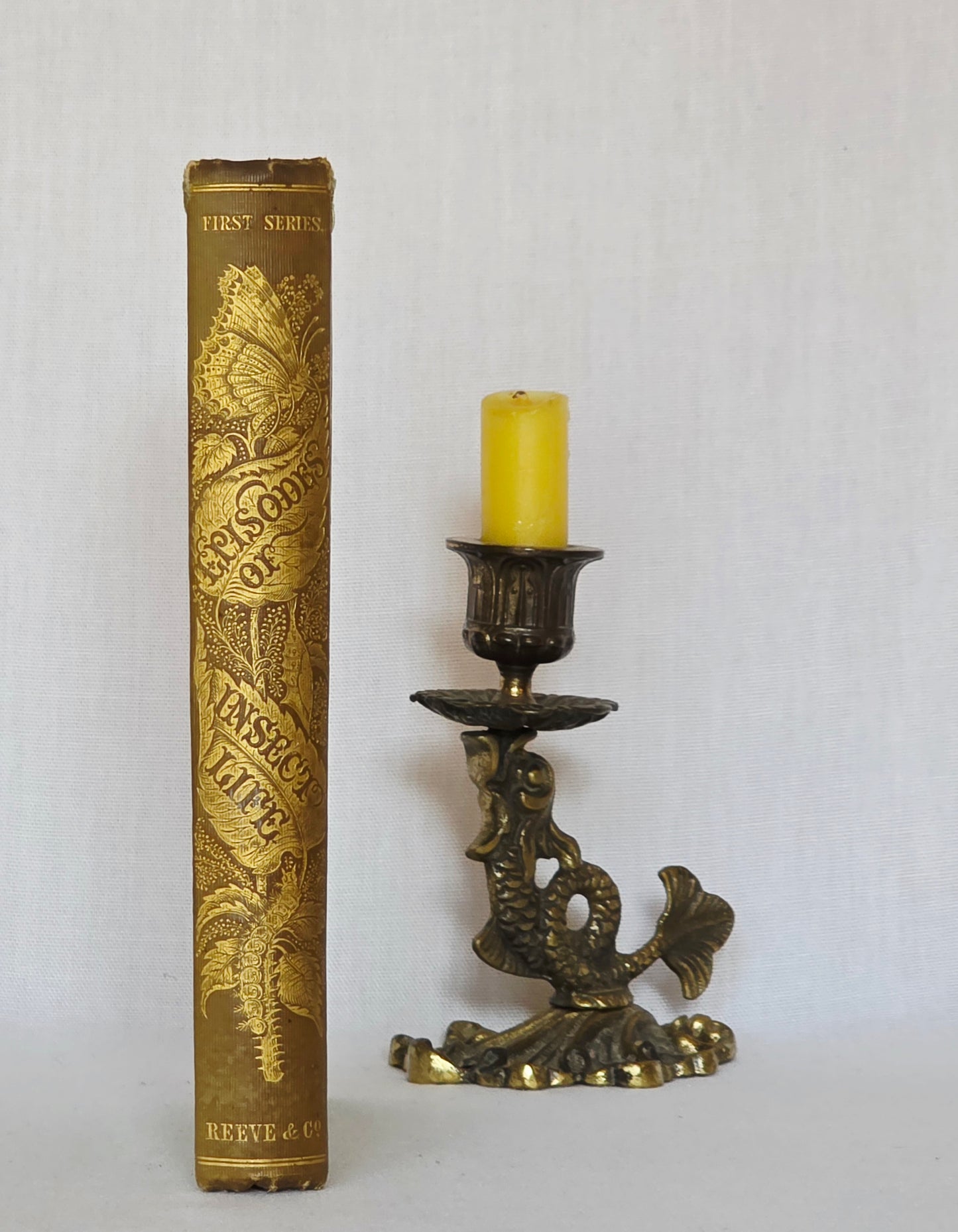 1849 Episodes of Insect Life by Acheta Domestica - Illustrated Antique Book