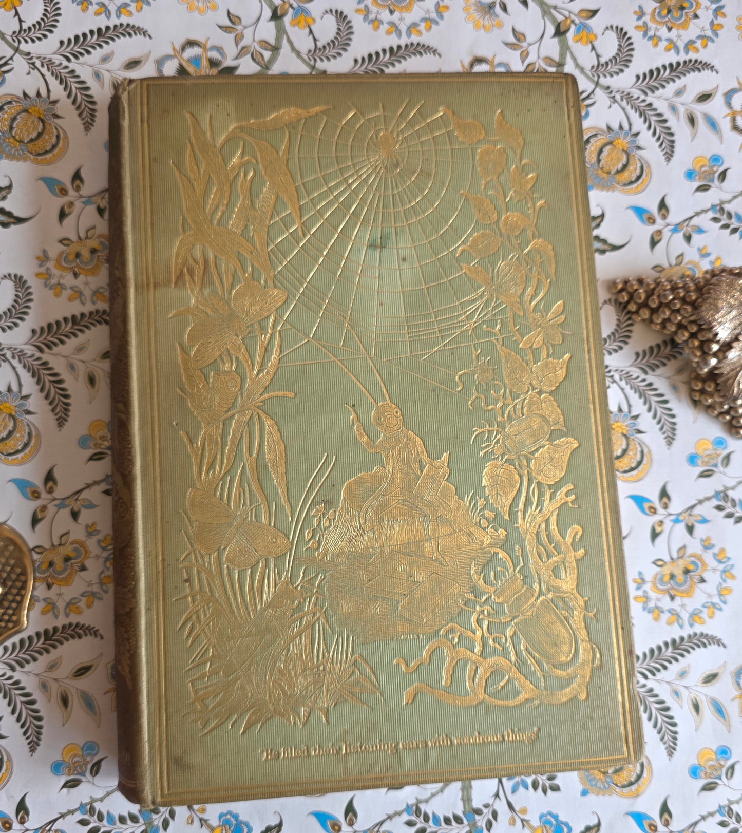 1849 Episodes of Insect Life by Acheta Domestica - Illustrated Antique Book