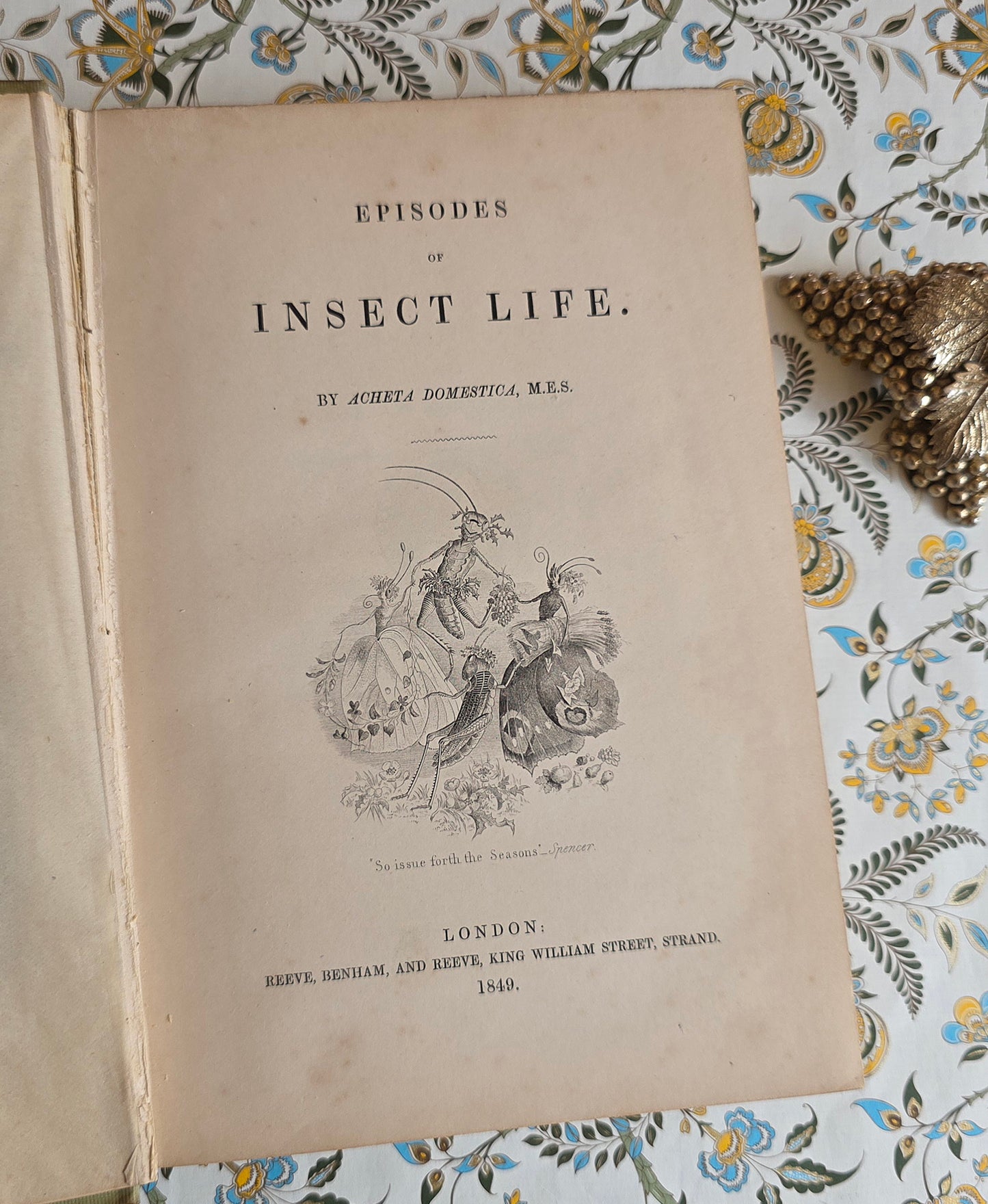 1849 Episodes of Insect Life by Acheta Domestica - Illustrated Antique Book