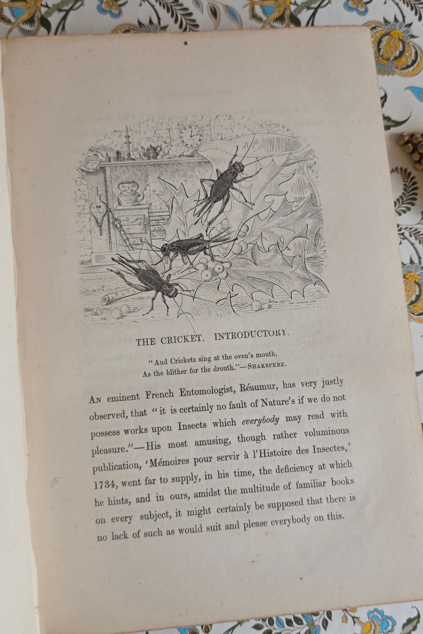 1849 Episodes of Insect Life by Acheta Domestica - Illustrated Antique Book