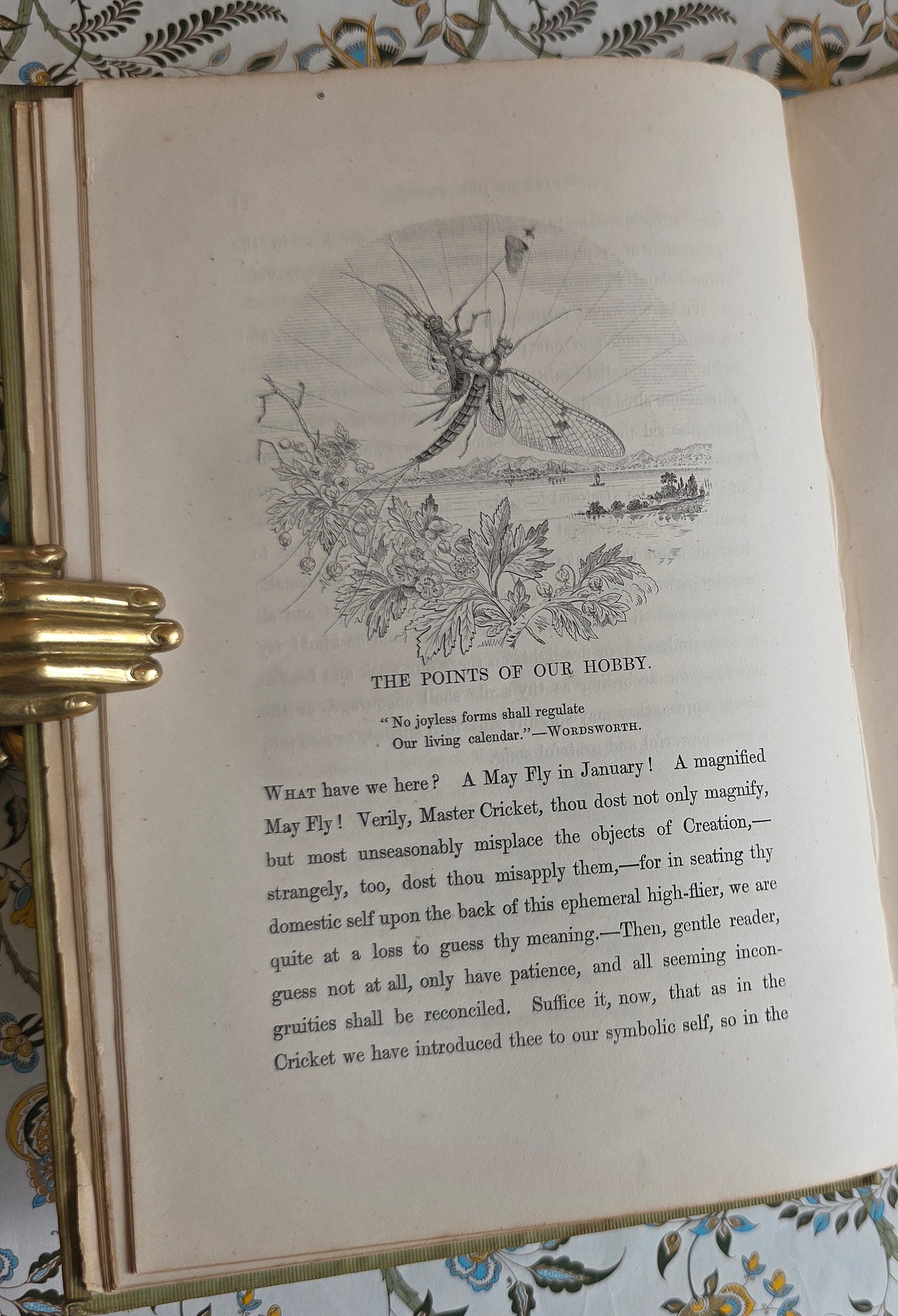 1849 Episodes of Insect Life by Acheta Domestica - Illustrated Antique Book
