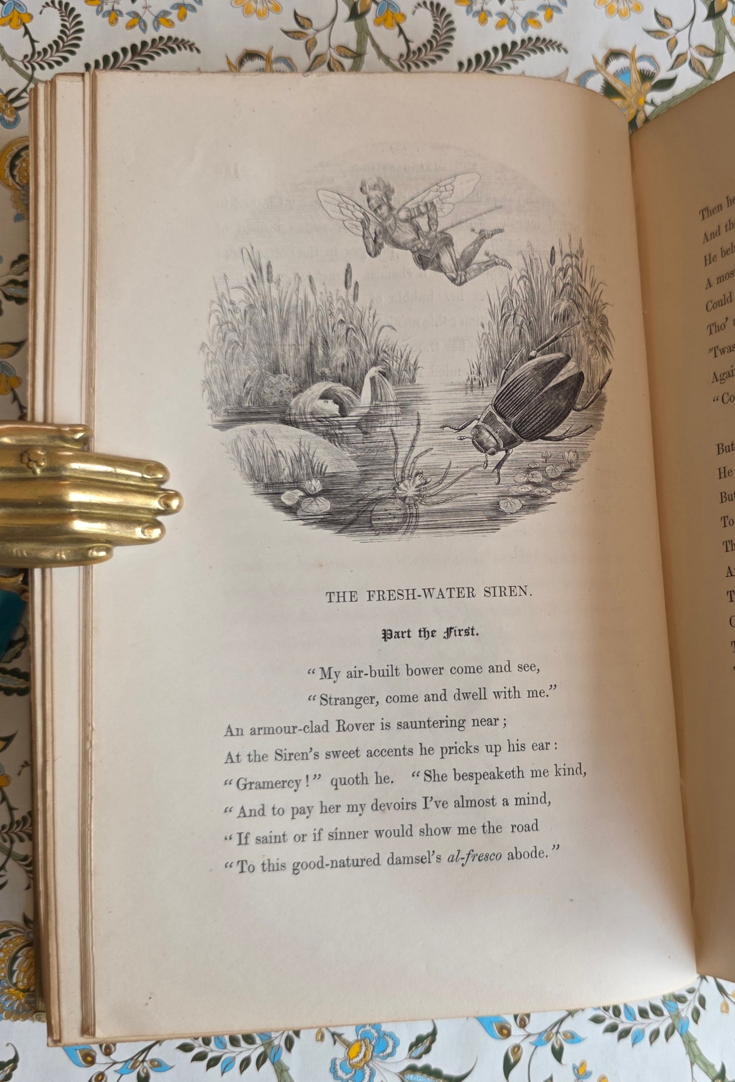 1849 Episodes of Insect Life by Acheta Domestica - Illustrated Antique Book