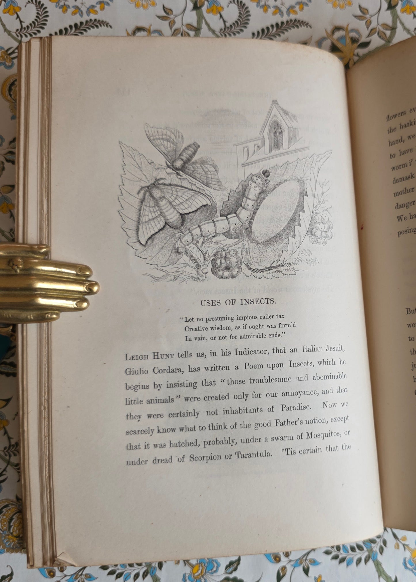 1849 Episodes of Insect Life by Acheta Domestica - Illustrated Antique Book