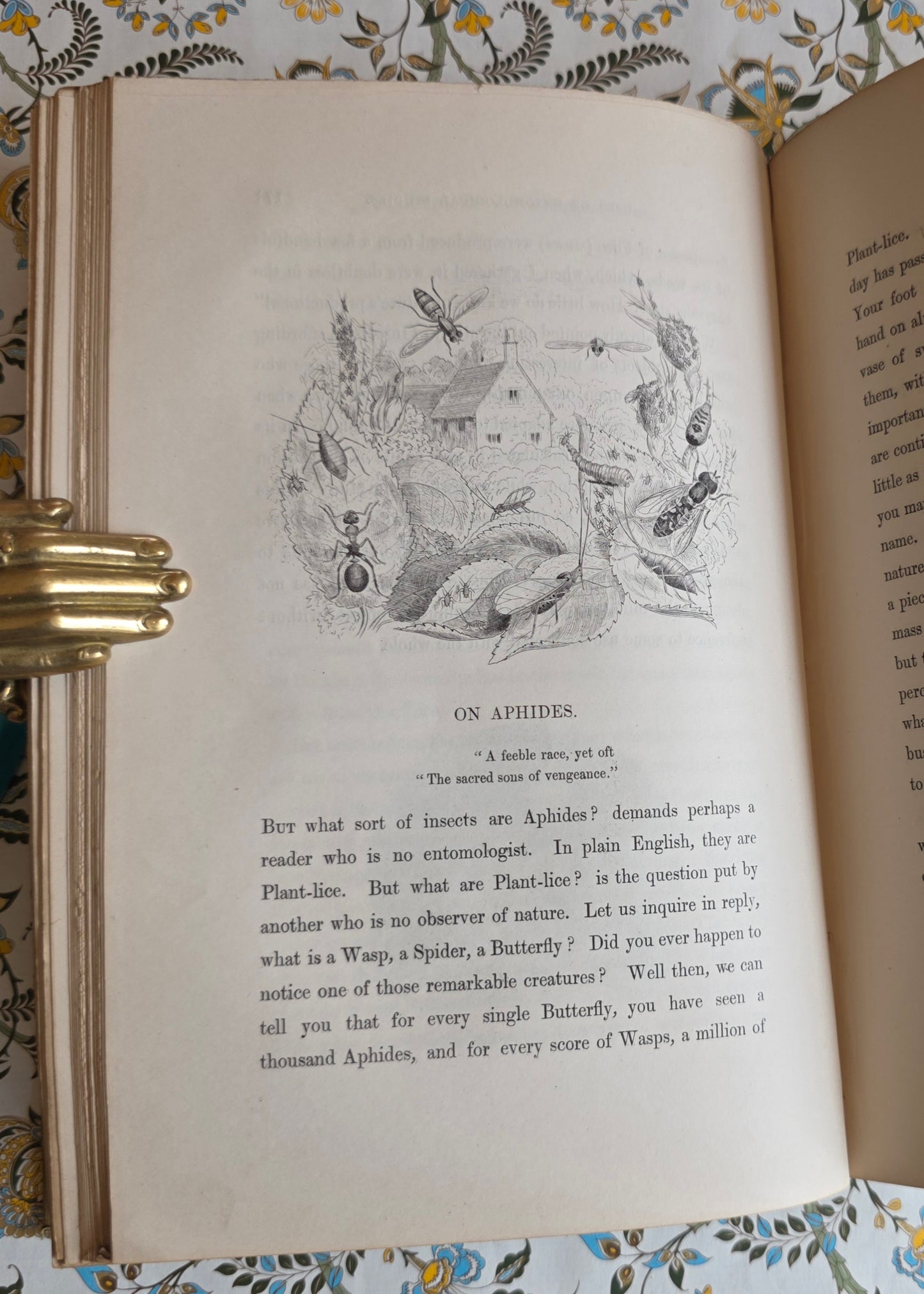 1849 Episodes of Insect Life by Acheta Domestica - Illustrated Antique Book