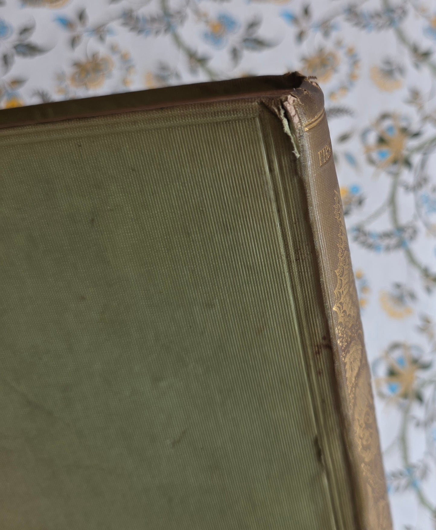 1849 Episodes of Insect Life by Acheta Domestica - Illustrated Antique Book