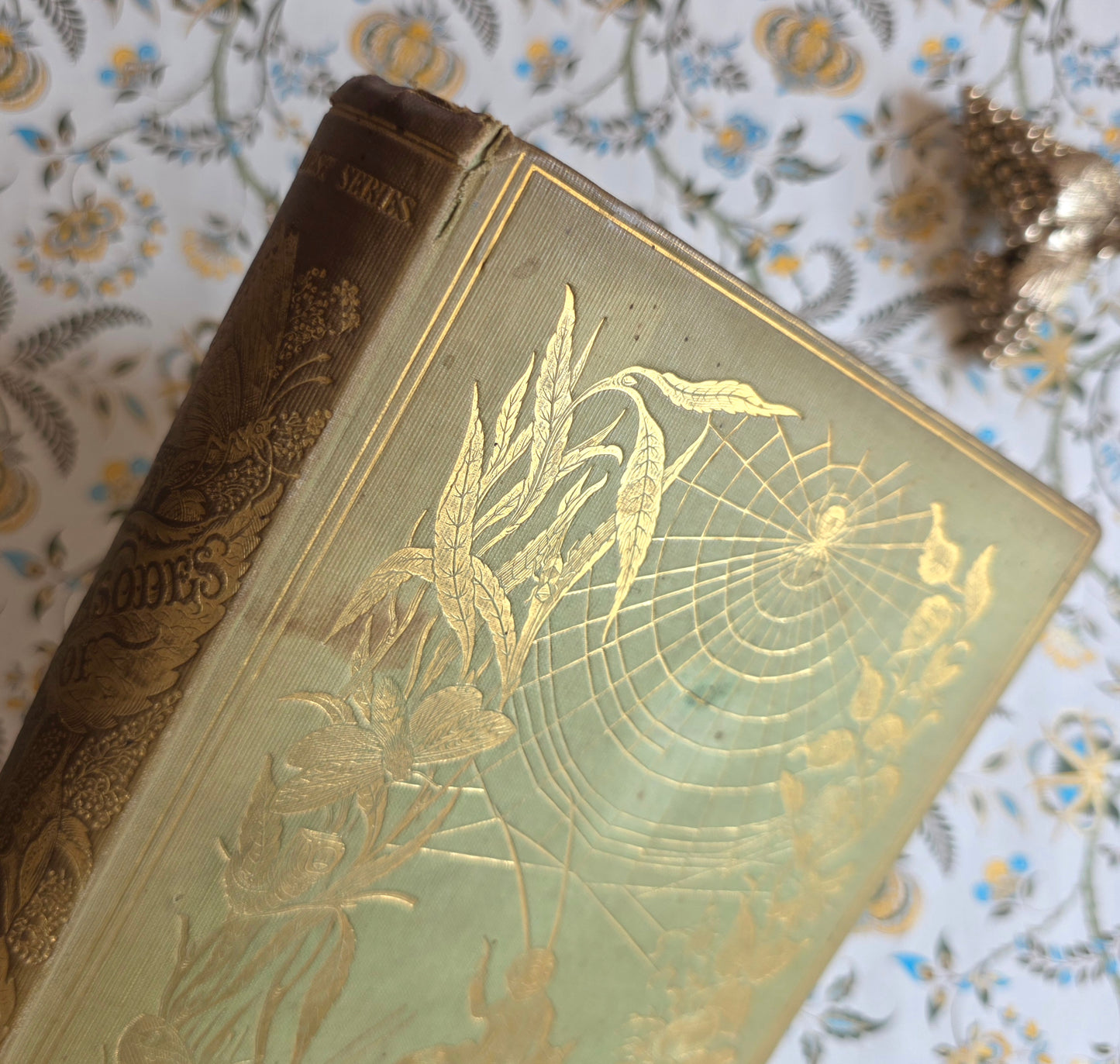 1849 Episodes of Insect Life by Acheta Domestica - Illustrated Antique Book
