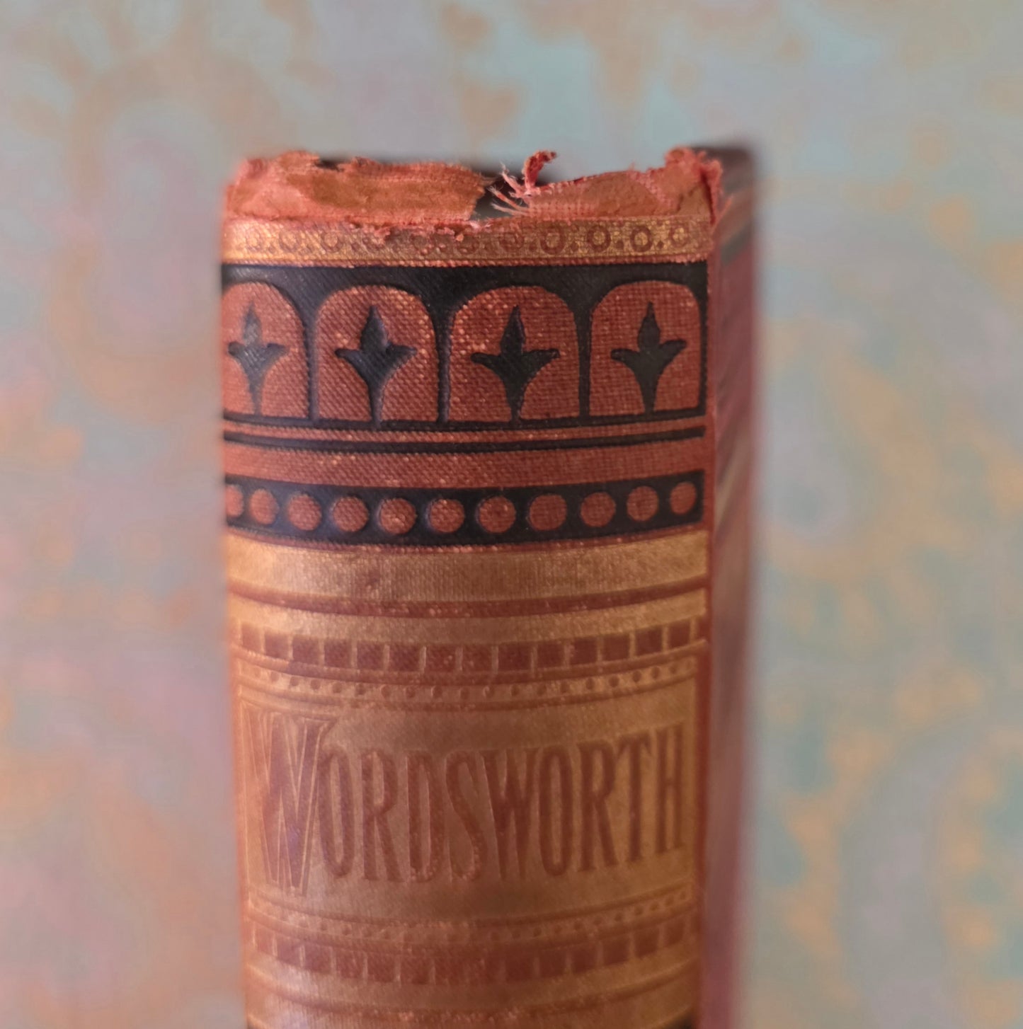 1880s The Poetical Works of Wordsworth / Lansdowne Poets / Beautiful Victorian Antique Book / Richly Illustrated