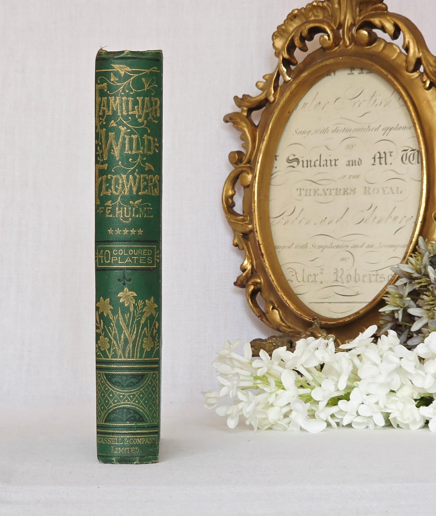 1883 Familiar Wild Flowers / Illustrated Victorian Antique Book (Fifth Series)