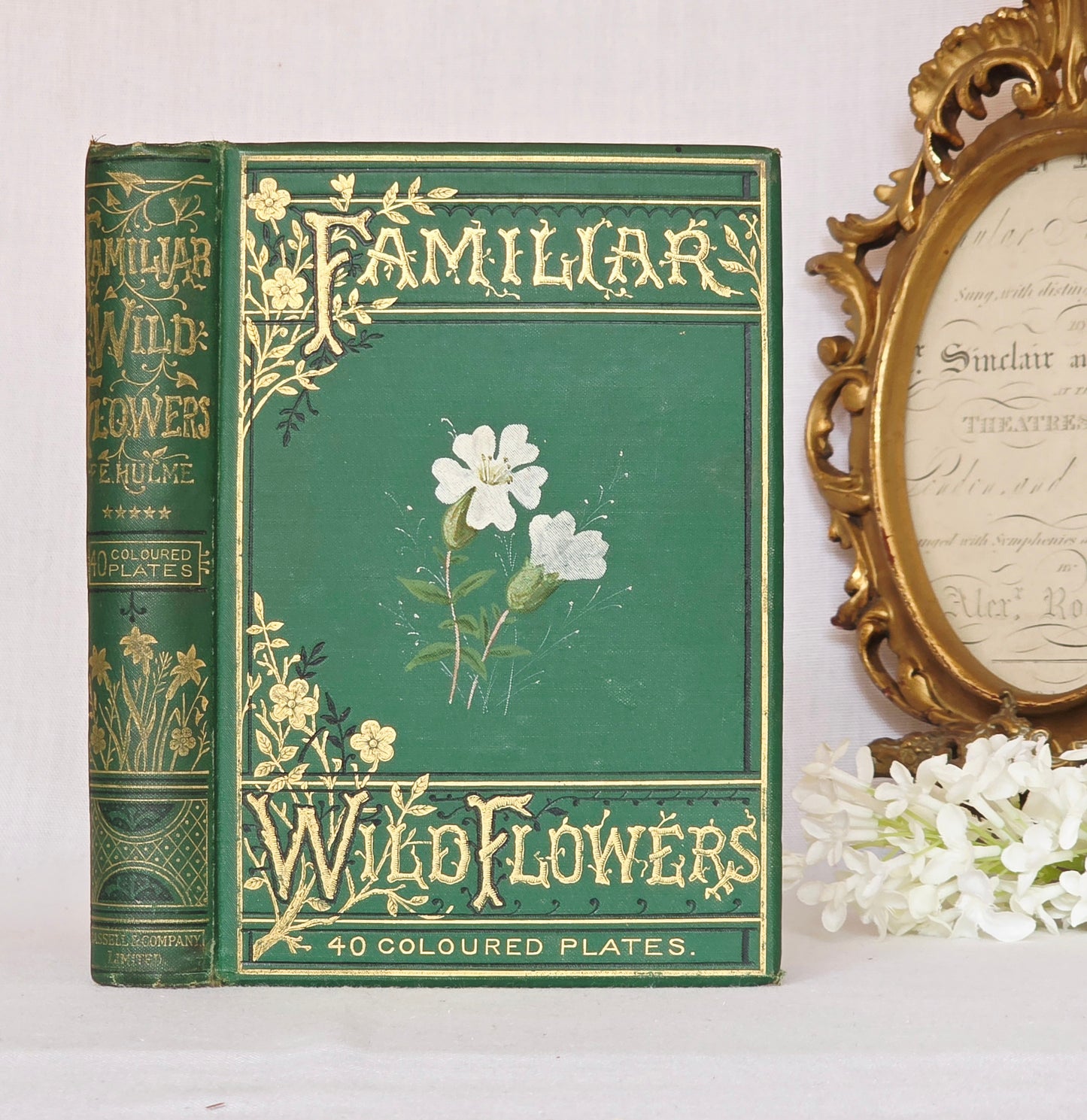 1883 Familiar Wild Flowers / Illustrated Victorian Antique Book (Fifth Series)