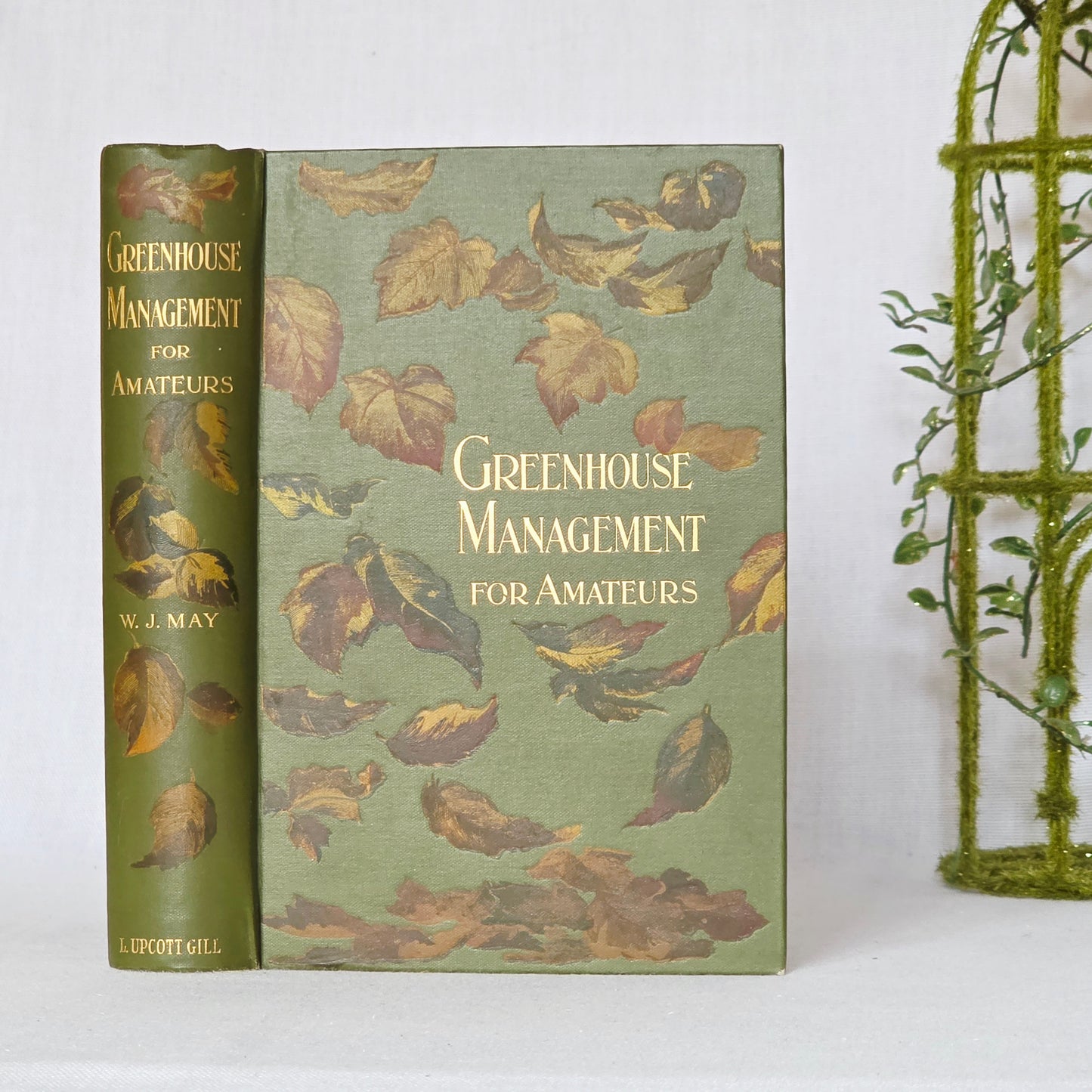 1900 Greenhouse Management For Amateurs by WJ May - Illustrated Antique Book
