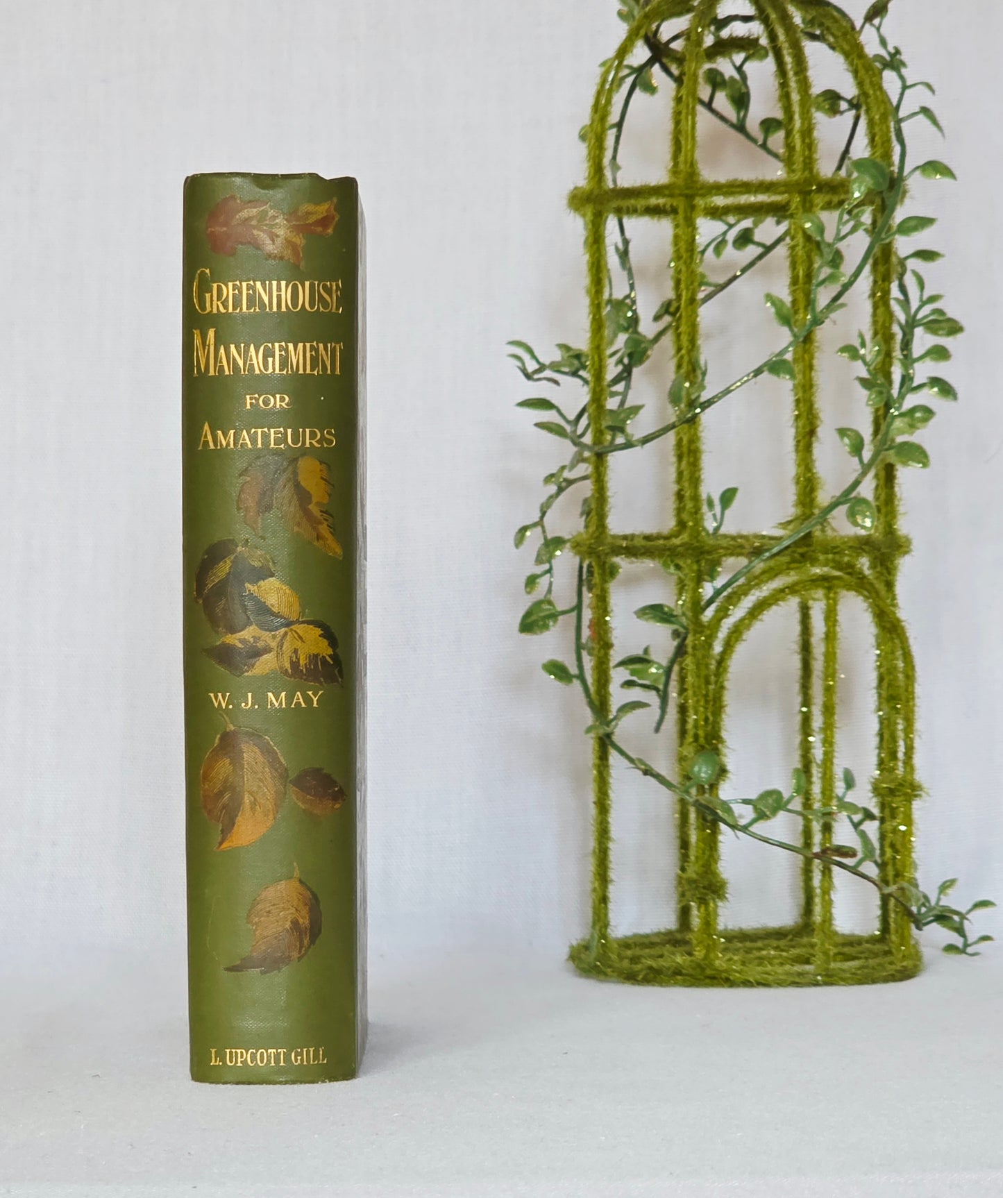1900 Greenhouse Management For Amateurs by WJ May - Illustrated Antique Book