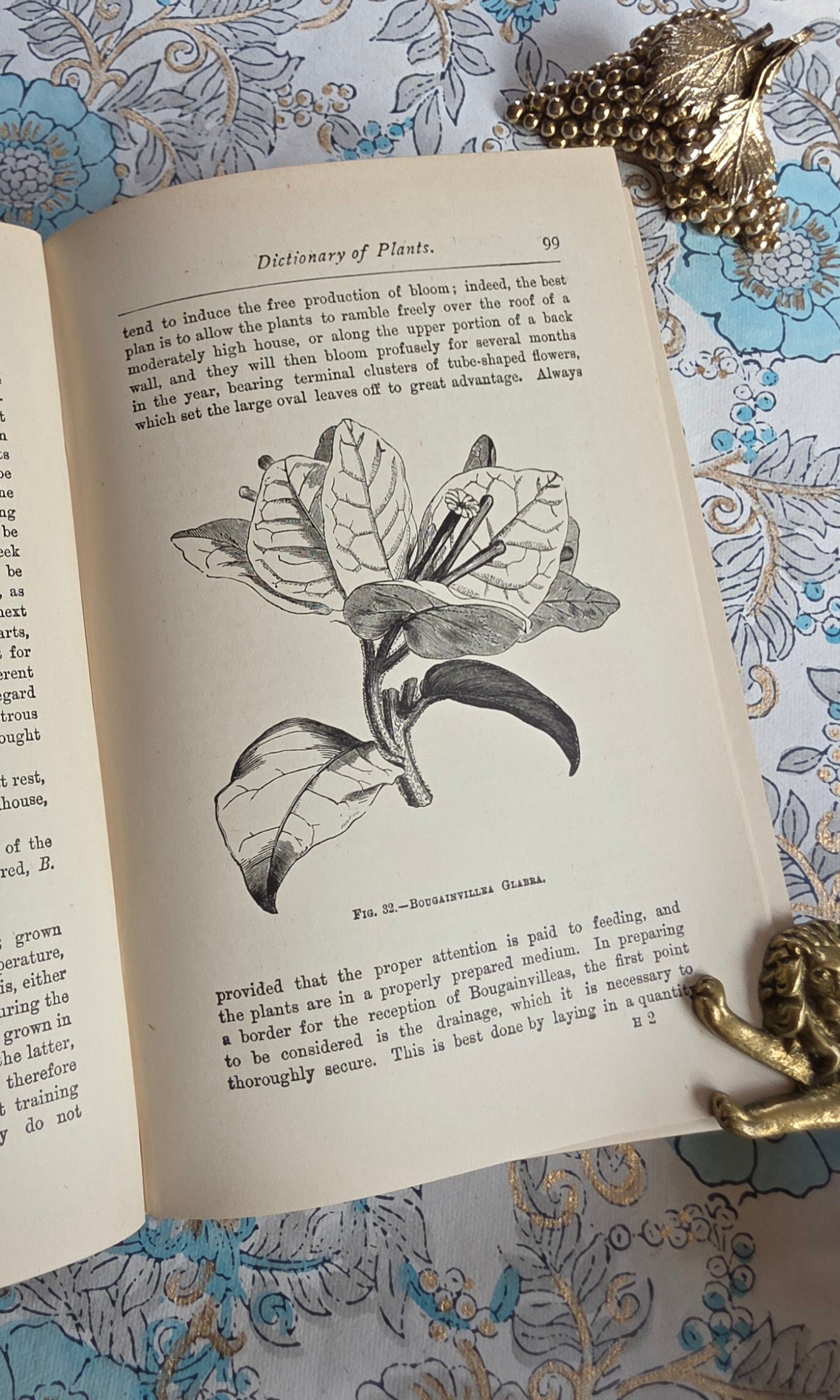 1900 Greenhouse Management For Amateurs by WJ May - Illustrated Antique Book