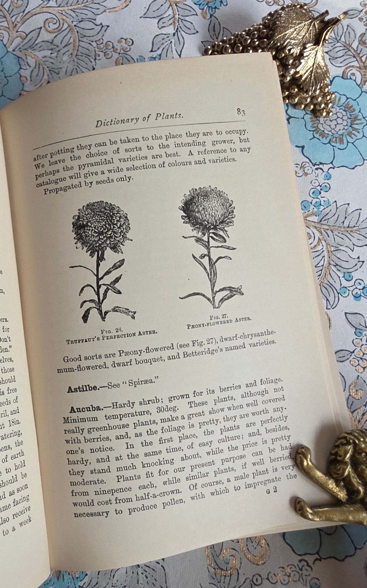1900 Greenhouse Management For Amateurs by WJ May - Illustrated Antique Book