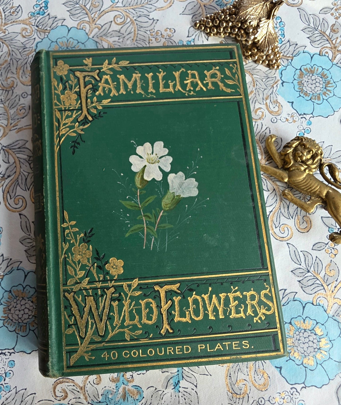 1883 Familiar Wild Flowers / Illustrated Victorian Antique Book (Fifth Series)