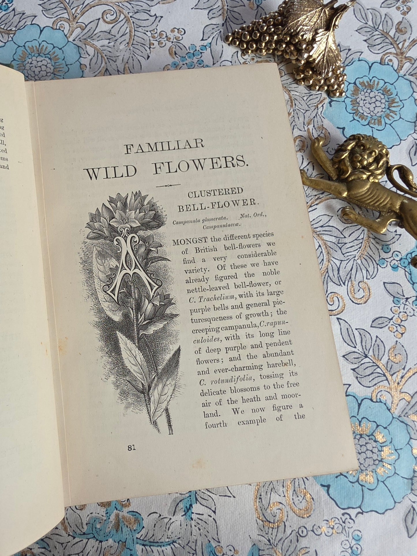 1883 Familiar Wild Flowers / Illustrated Victorian Antique Book (Fifth Series)