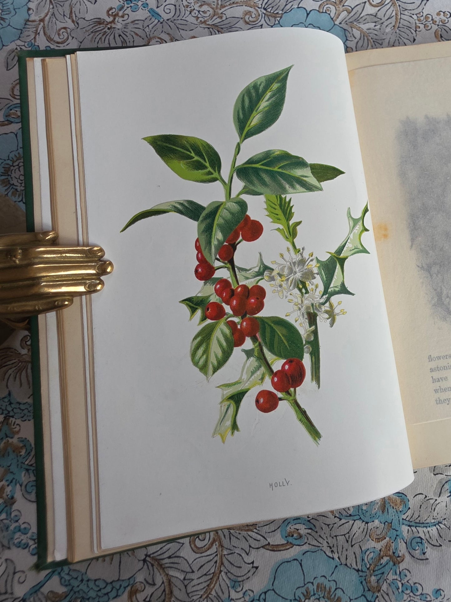 1883 Familiar Wild Flowers / Illustrated Victorian Antique Book (Fifth Series)