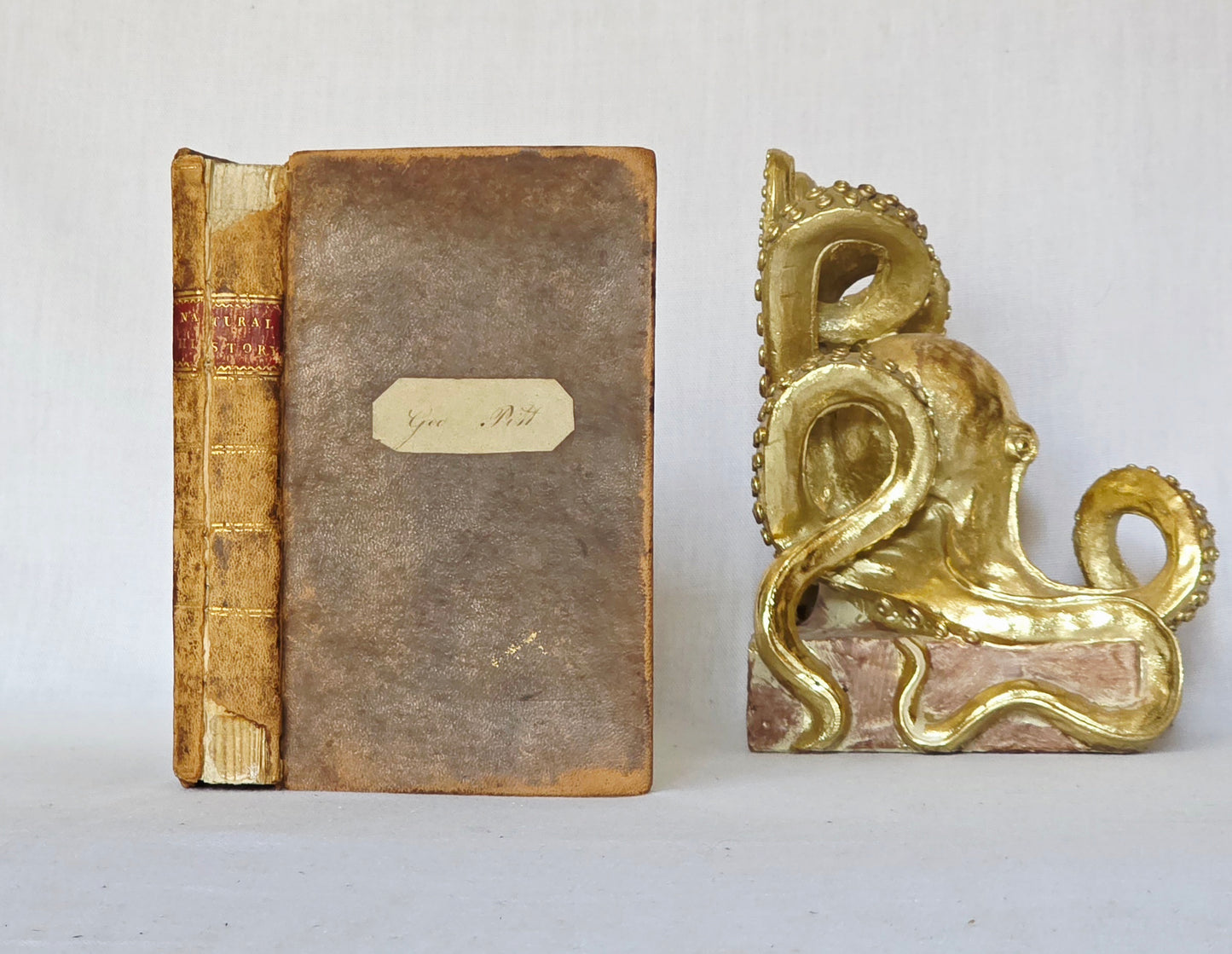 1806 The Elements of Natural History By William Mavor - Illustrated Antique Book