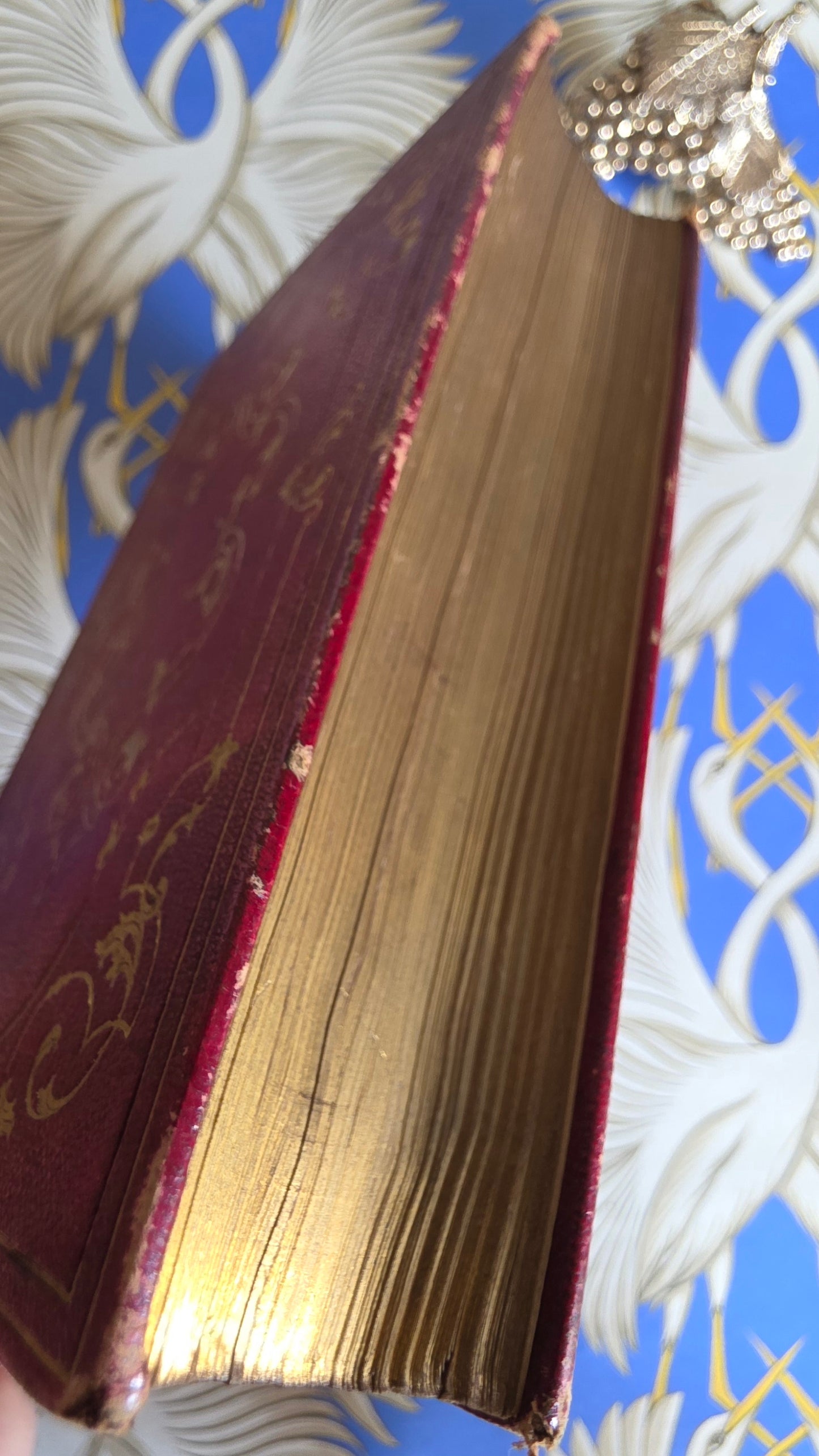 1845 The Iliad of Homer - Translated by Alexander Pope - Antique Full Leather Bound Book