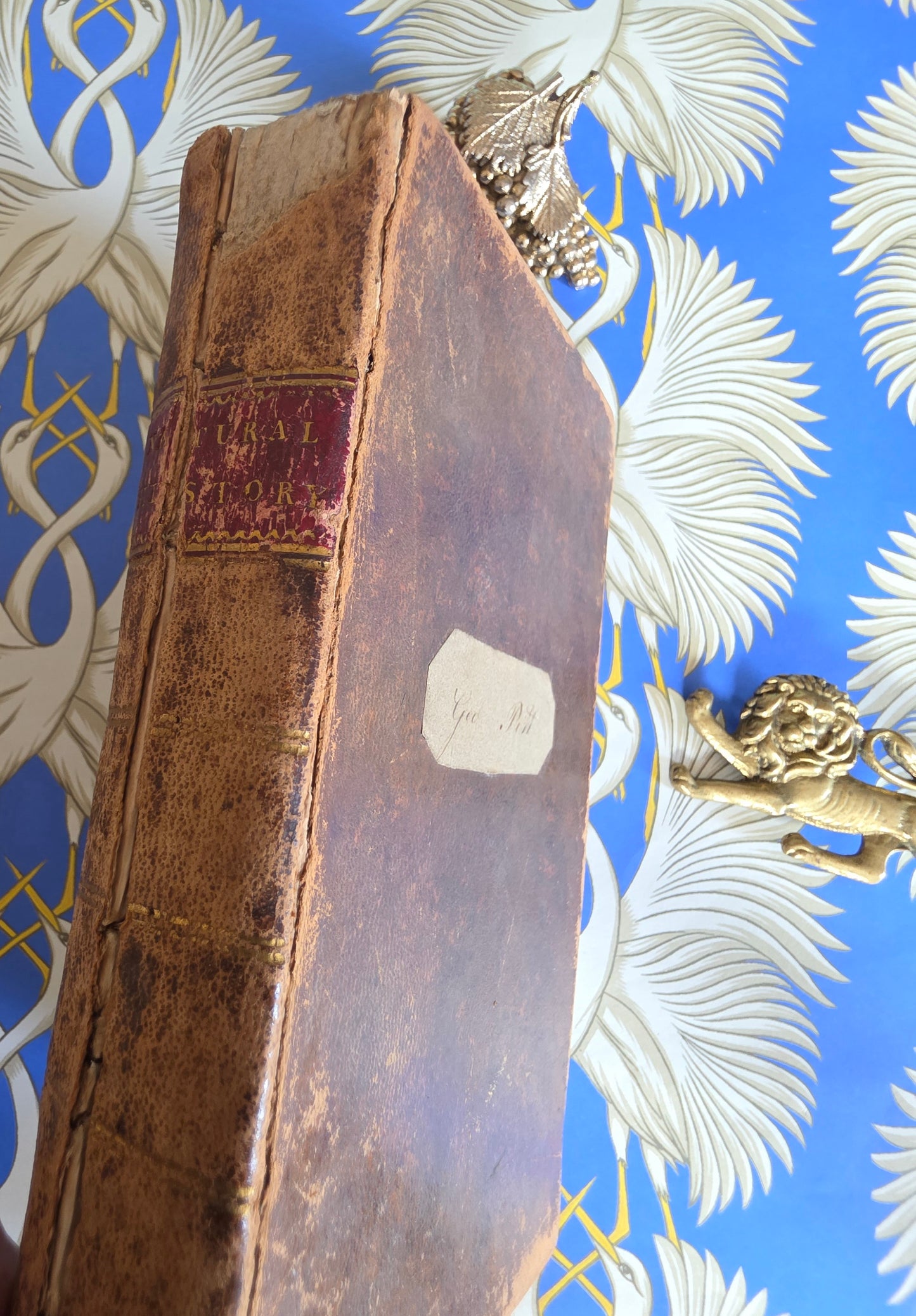 1806 The Elements of Natural History By William Mavor - Illustrated Antique Book