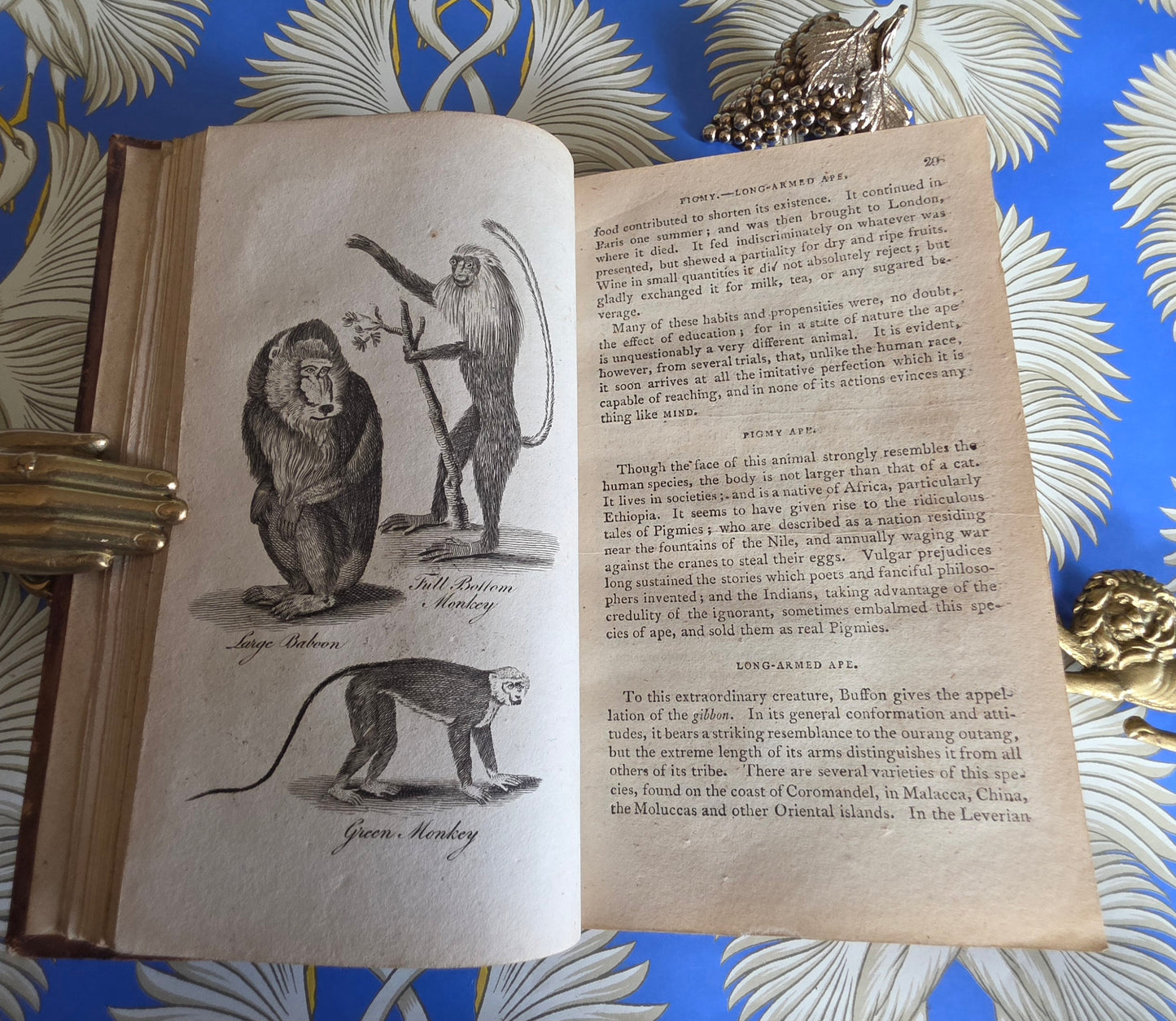 1806 The Elements of Natural History By William Mavor - Illustrated Antique Book