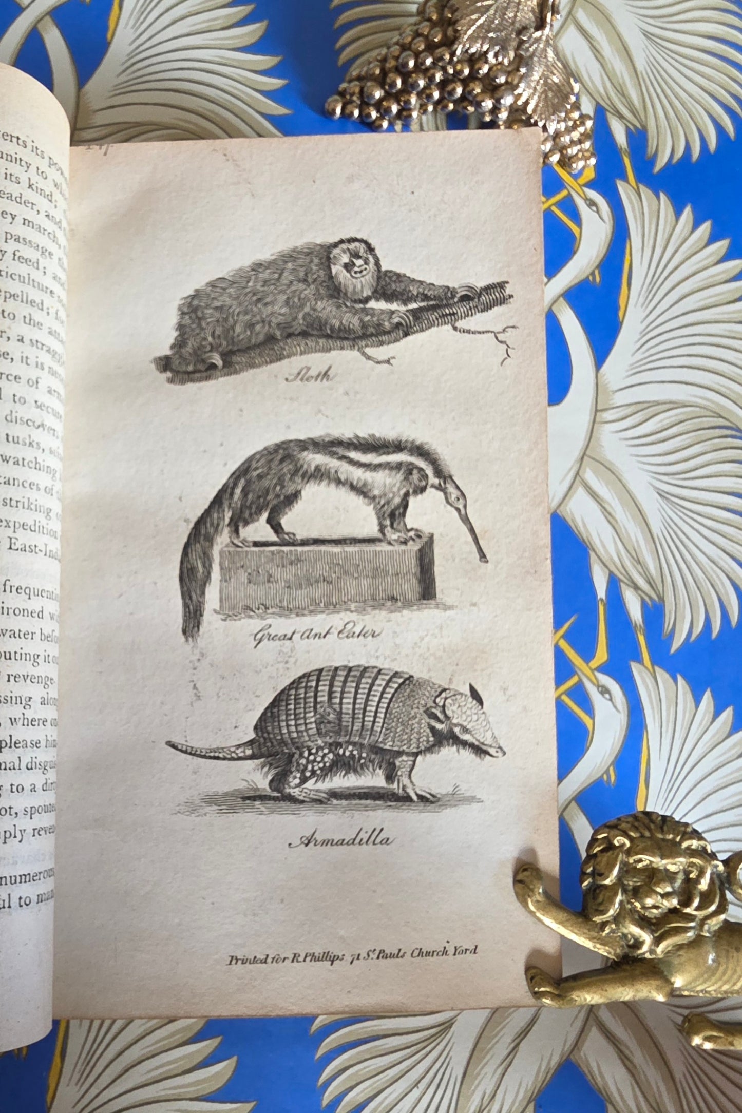 1806 The Elements of Natural History By William Mavor - Illustrated Antique Book