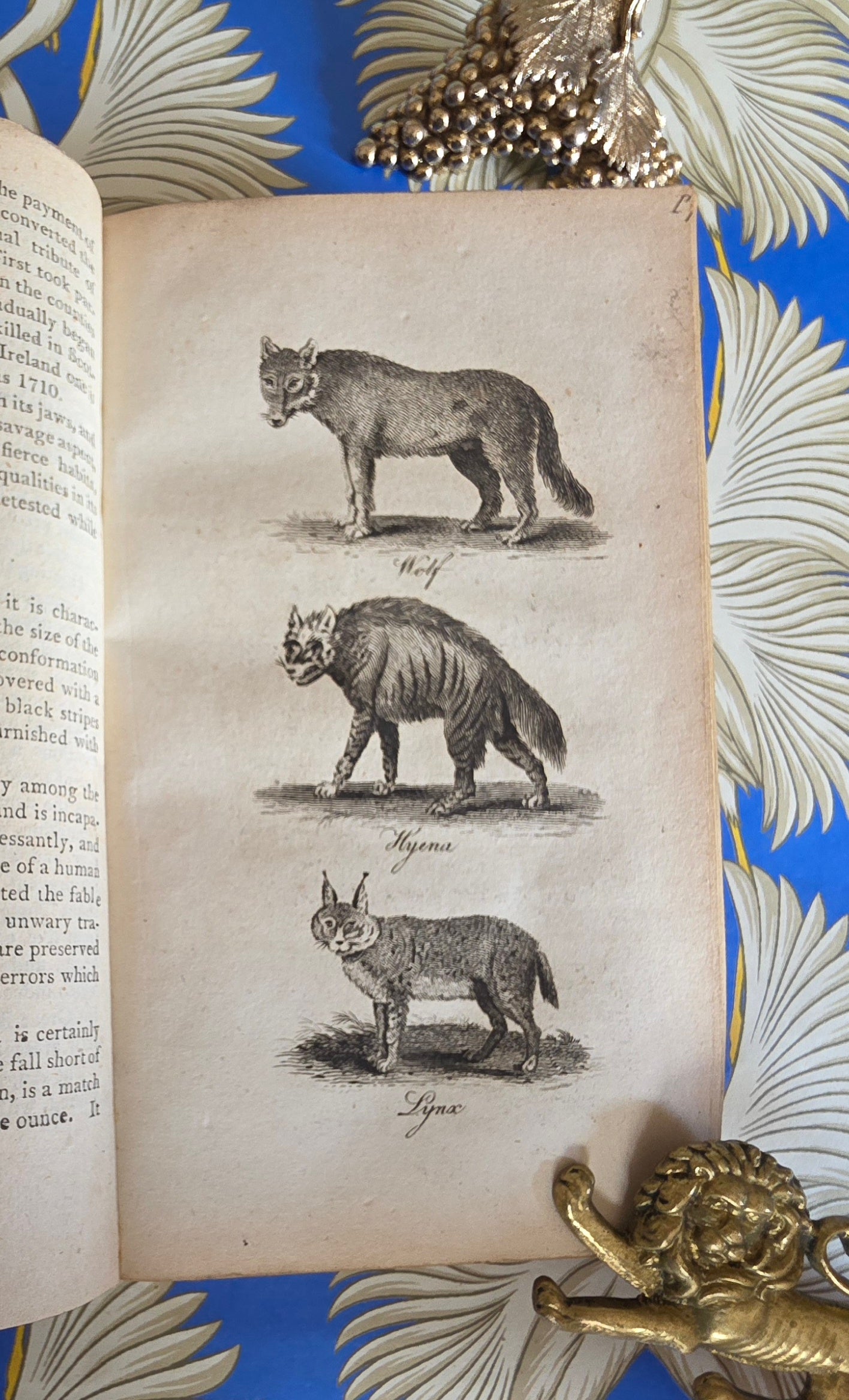 1806 The Elements of Natural History By William Mavor - Illustrated Antique Book