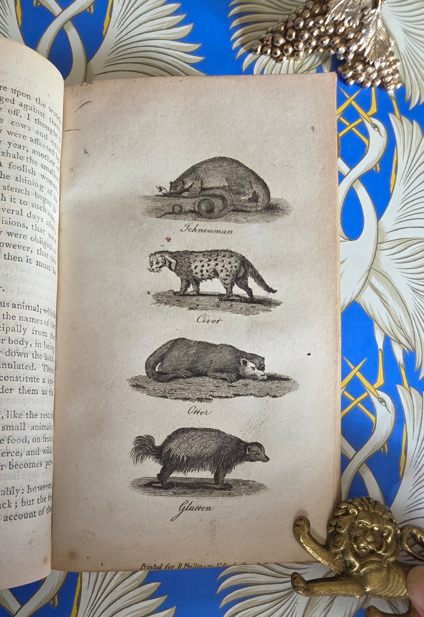 1806 The Elements of Natural History By William Mavor - Illustrated Antique Book