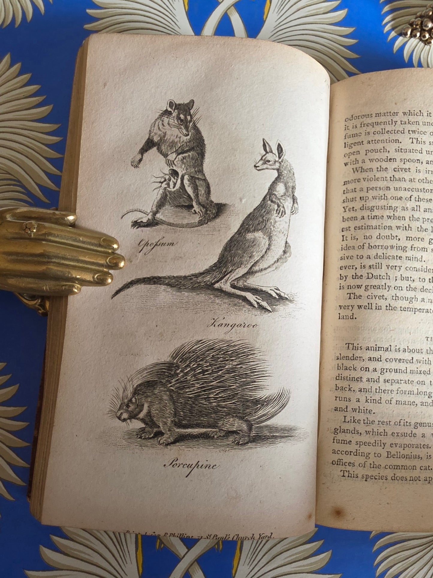 1806 The Elements of Natural History By William Mavor - Illustrated Antique Book