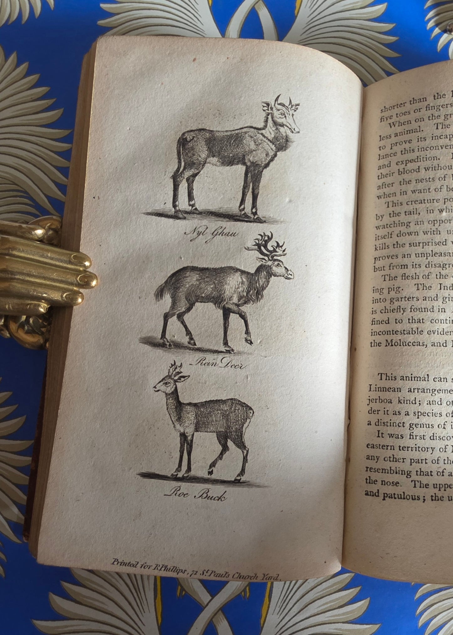 1806 The Elements of Natural History By William Mavor - Illustrated Antique Book