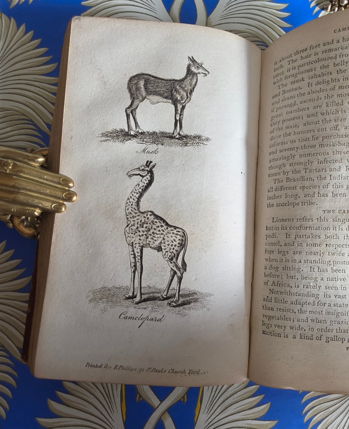 1806 The Elements of Natural History By William Mavor - Illustrated Antique Book