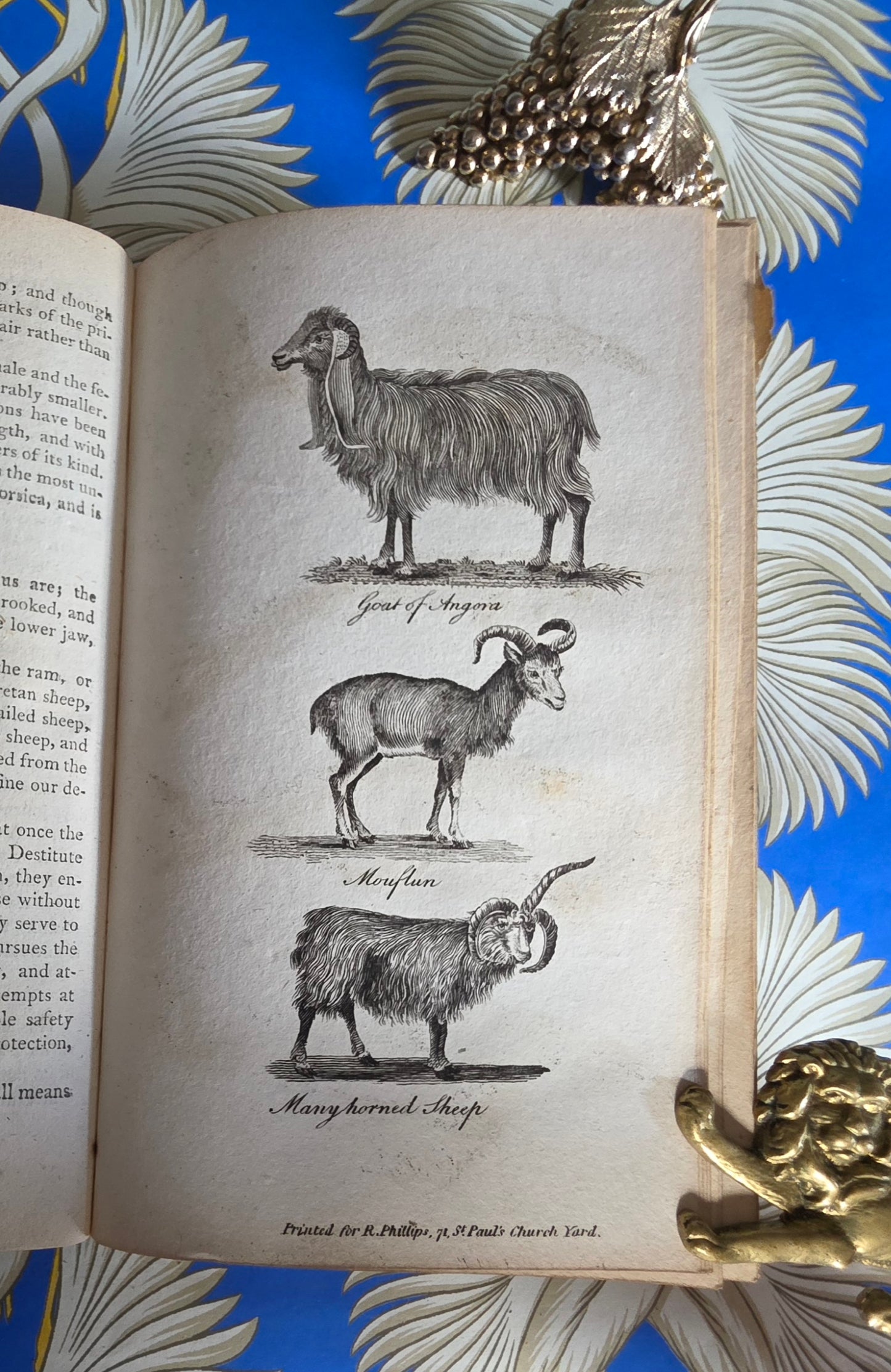 1806 The Elements of Natural History By William Mavor - Illustrated Antique Book