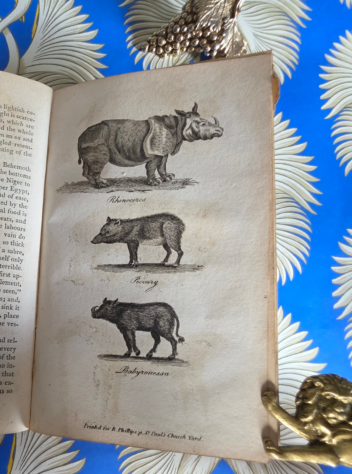 1806 The Elements of Natural History By William Mavor - Illustrated Antique Book
