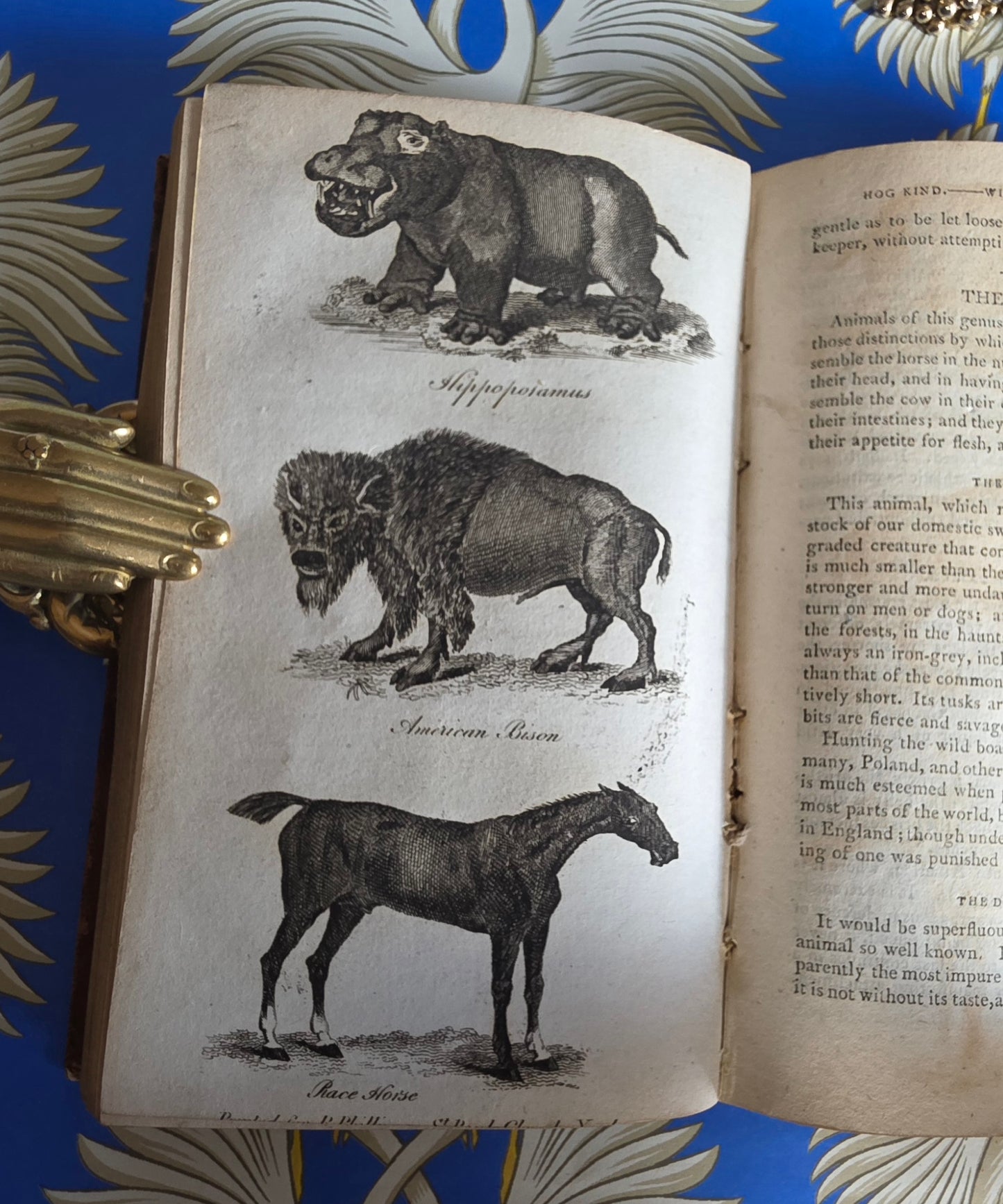 1806 The Elements of Natural History By William Mavor - Illustrated Antique Book