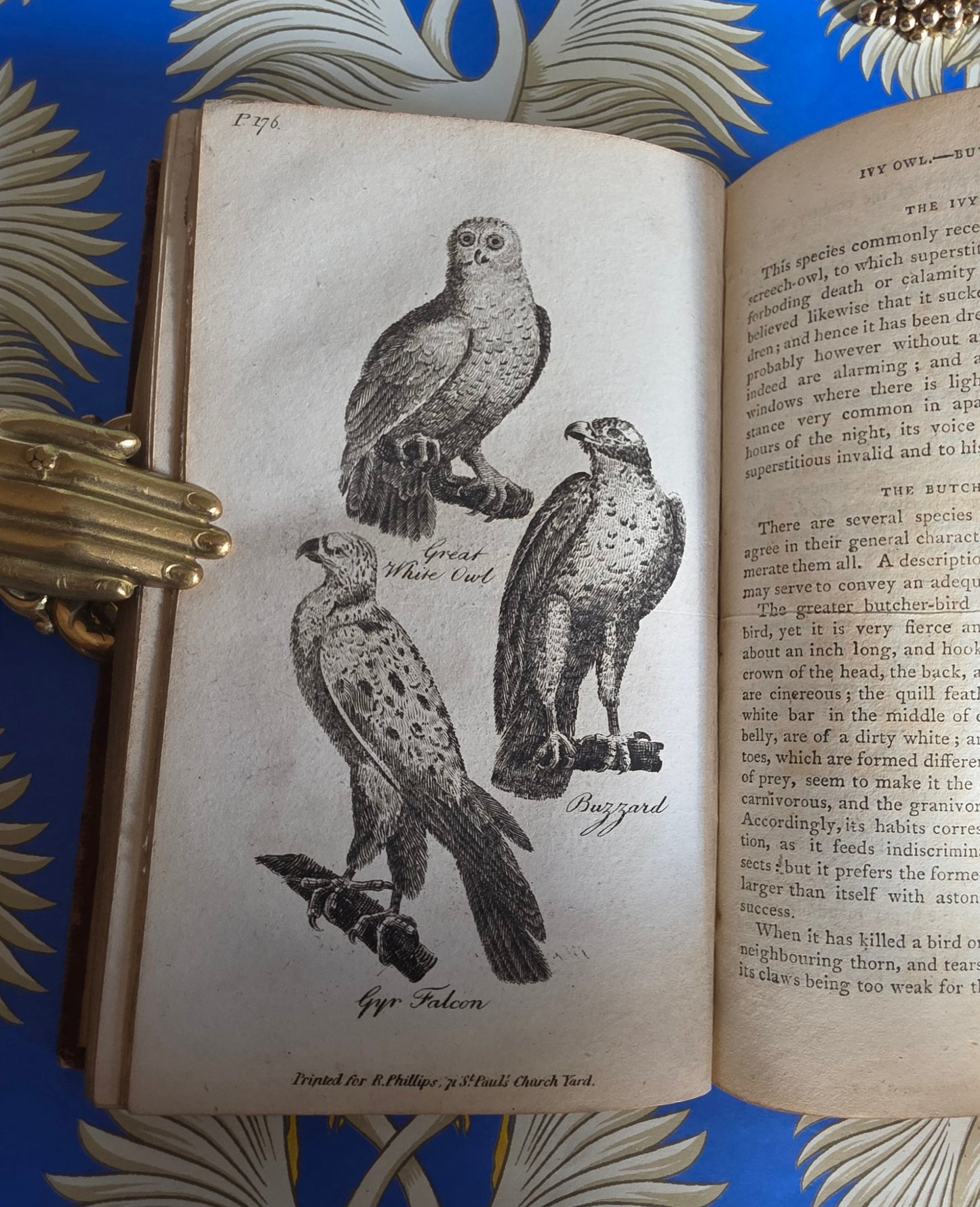 1806 The Elements of Natural History By William Mavor - Illustrated Antique Book