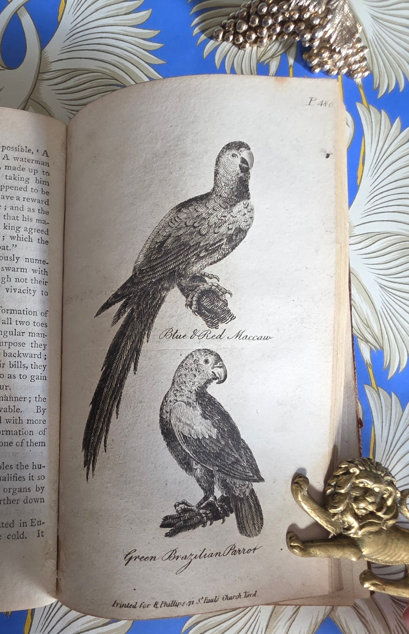 1806 The Elements of Natural History By William Mavor - Illustrated Antique Book