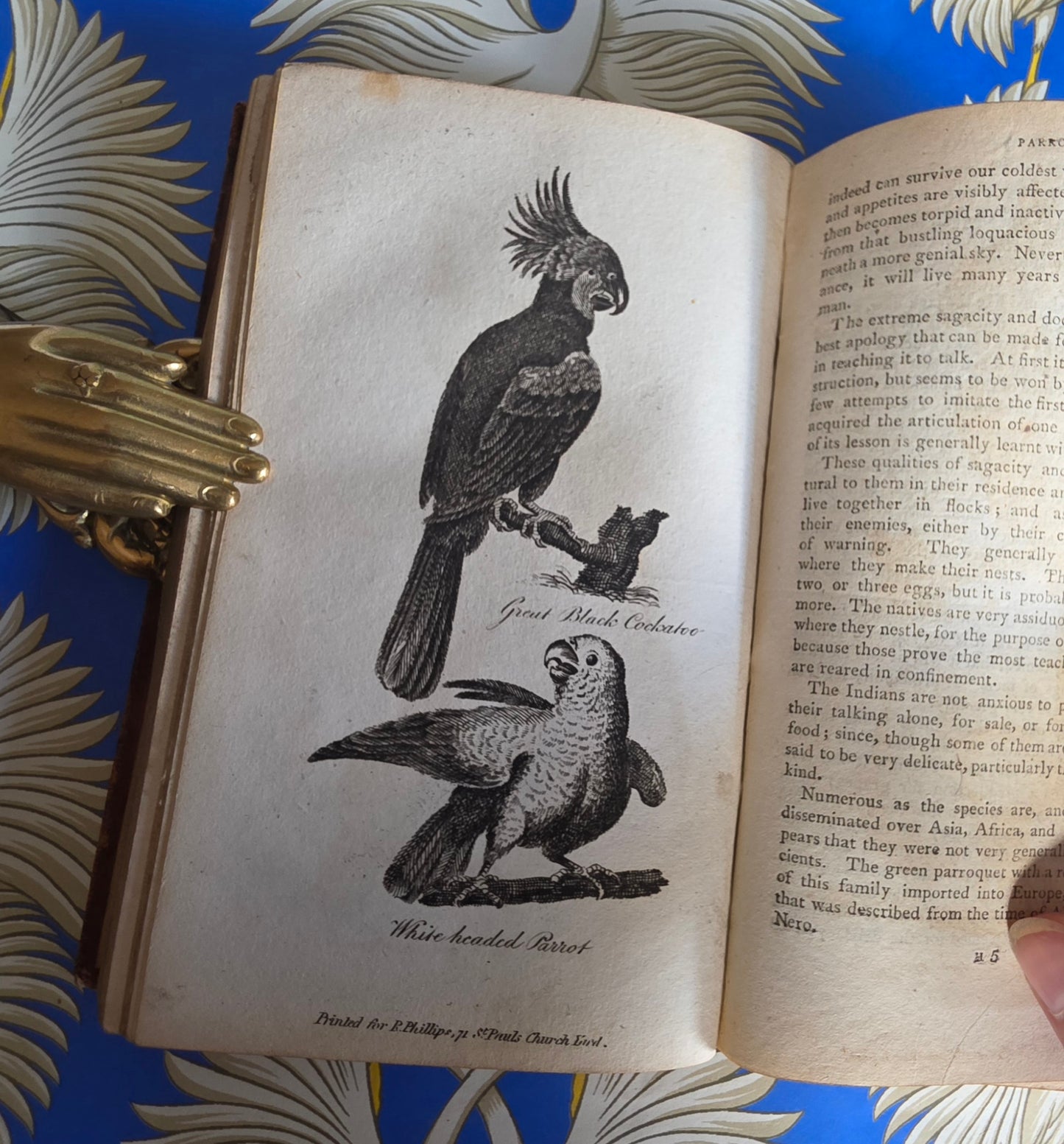 1806 The Elements of Natural History By William Mavor - Illustrated Antique Book
