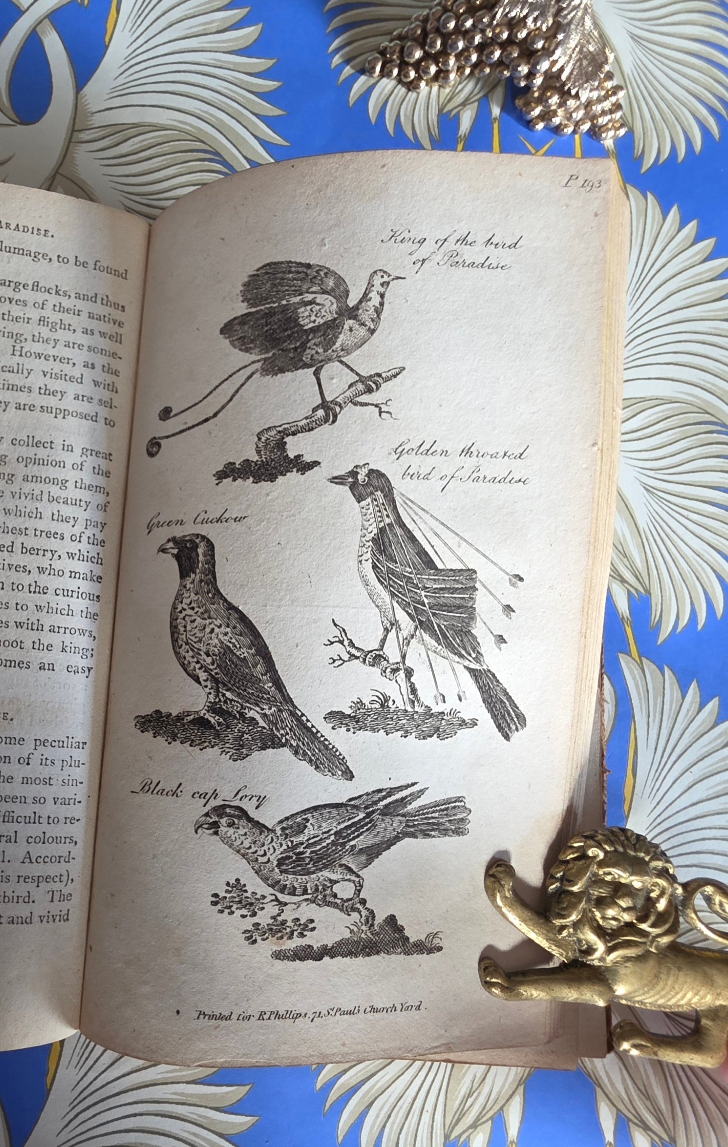 1806 The Elements of Natural History By William Mavor - Illustrated Antique Book
