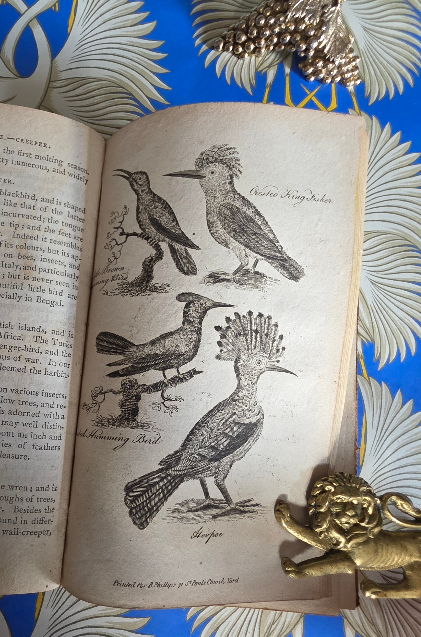 1806 The Elements of Natural History By William Mavor - Illustrated Antique Book