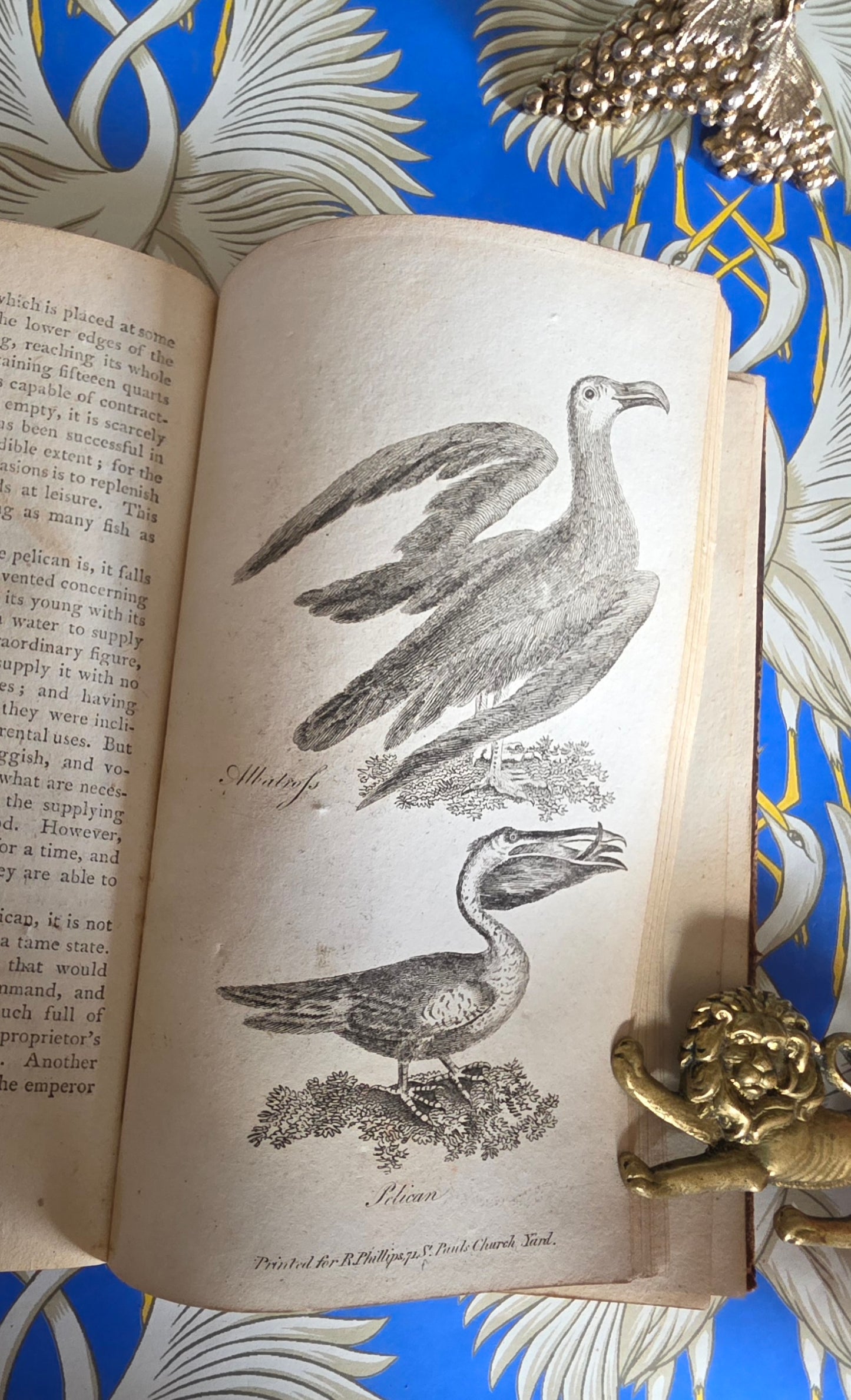 1806 The Elements of Natural History By William Mavor - Illustrated Antique Book
