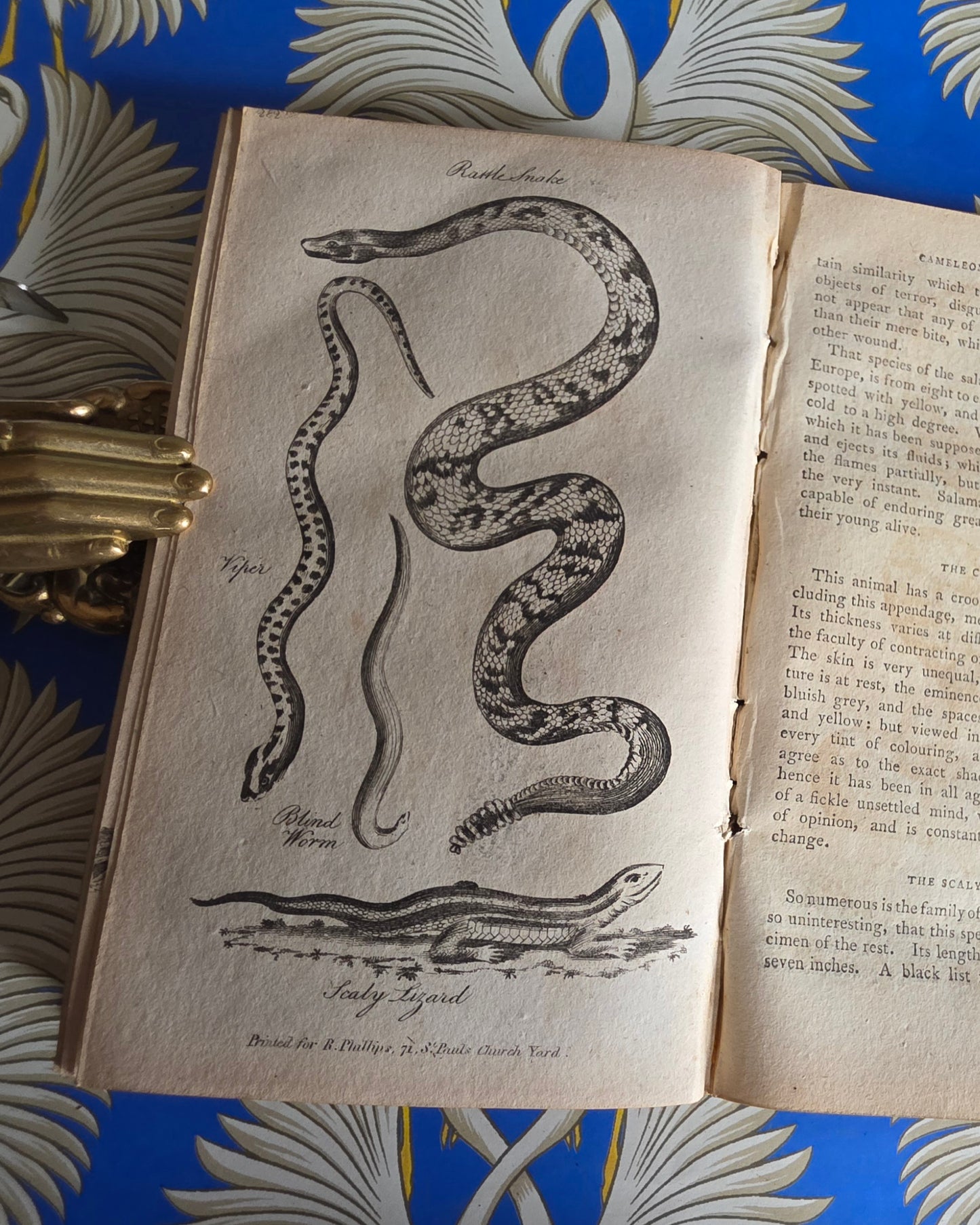 1806 The Elements of Natural History By William Mavor - Illustrated Antique Book