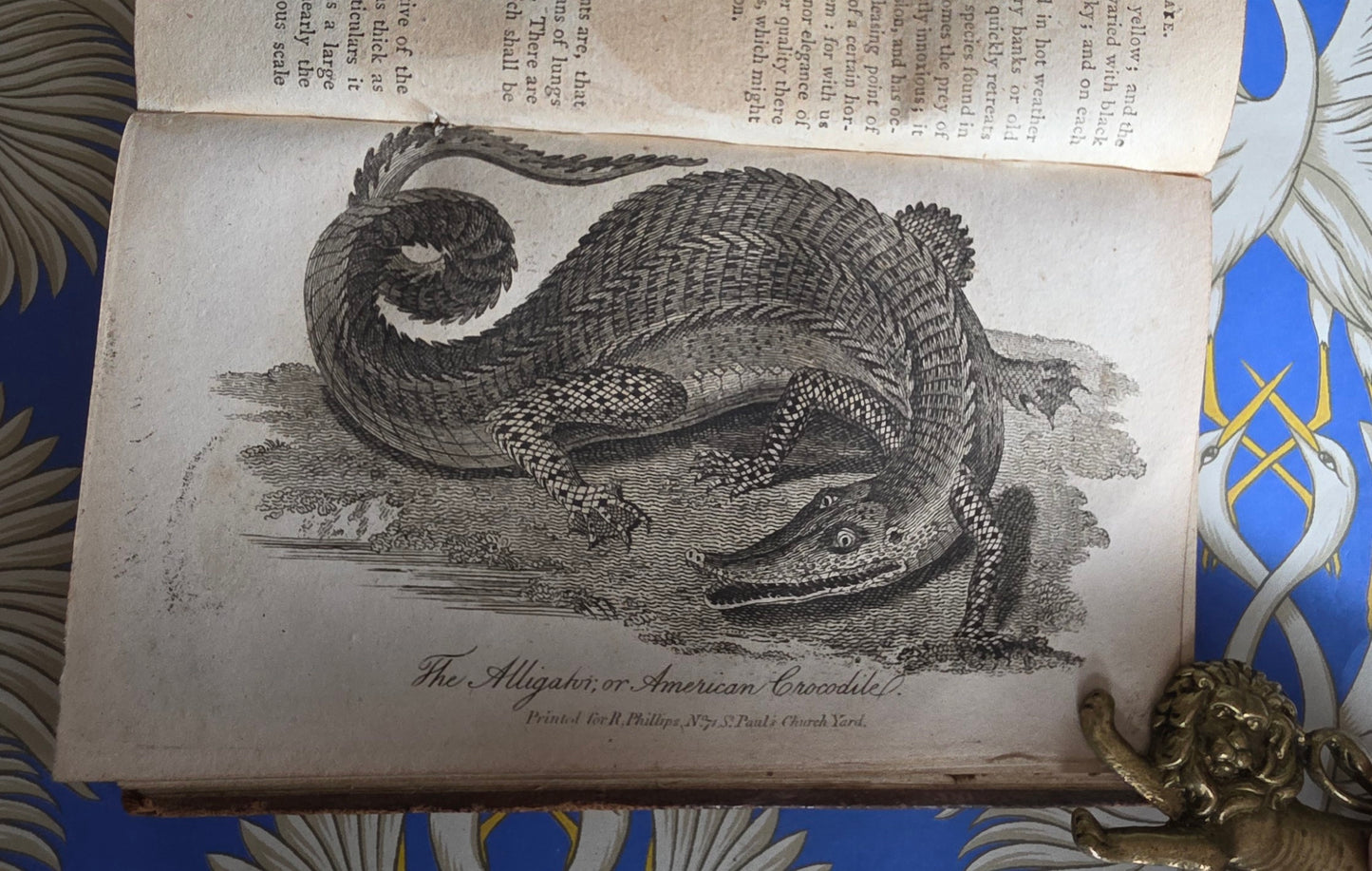 1806 The Elements of Natural History By William Mavor - Illustrated Antique Book