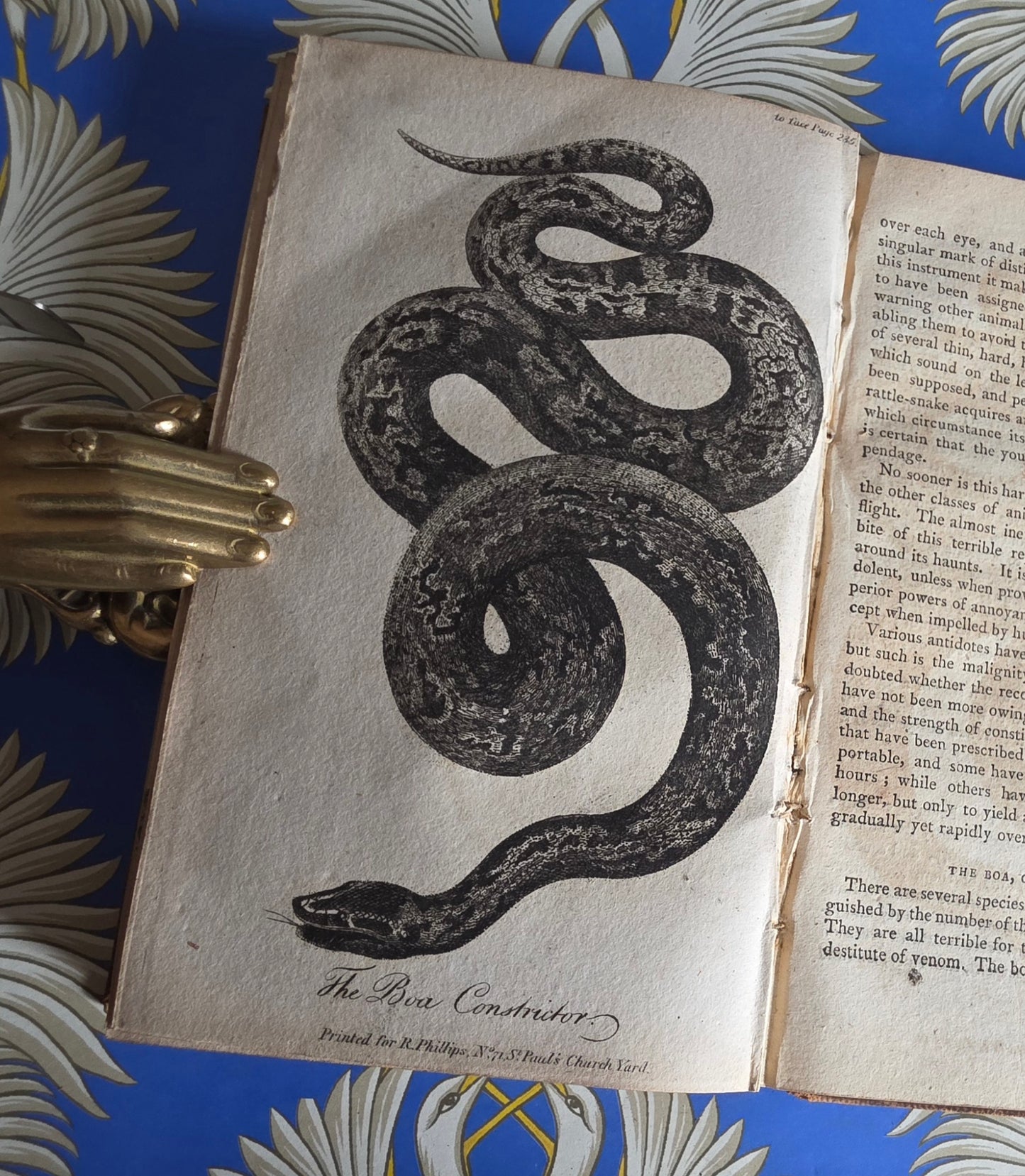 1806 The Elements of Natural History By William Mavor - Illustrated Antique Book